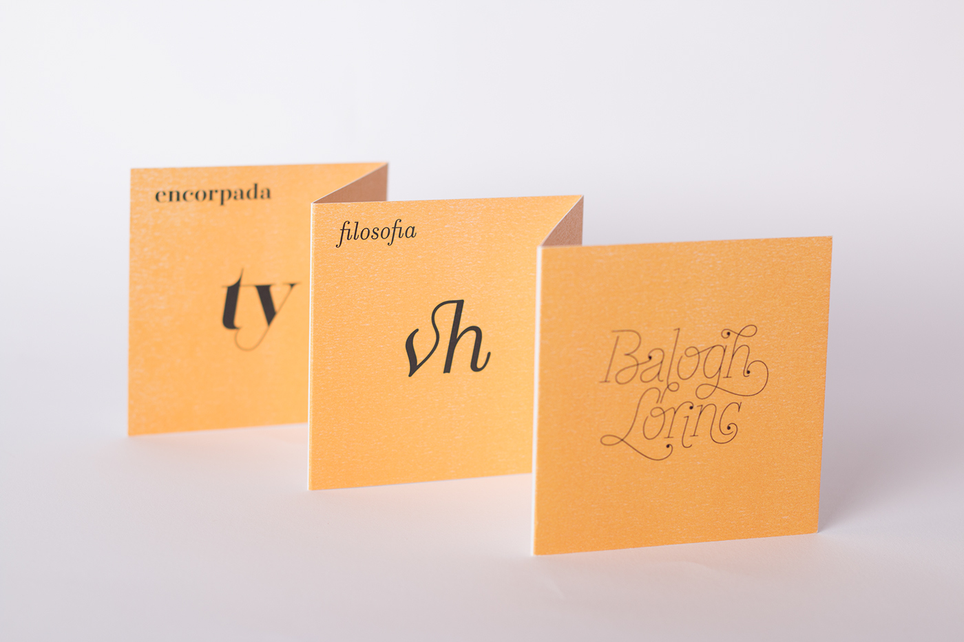 Ligatures project - 1 by Balogh Lőrinc