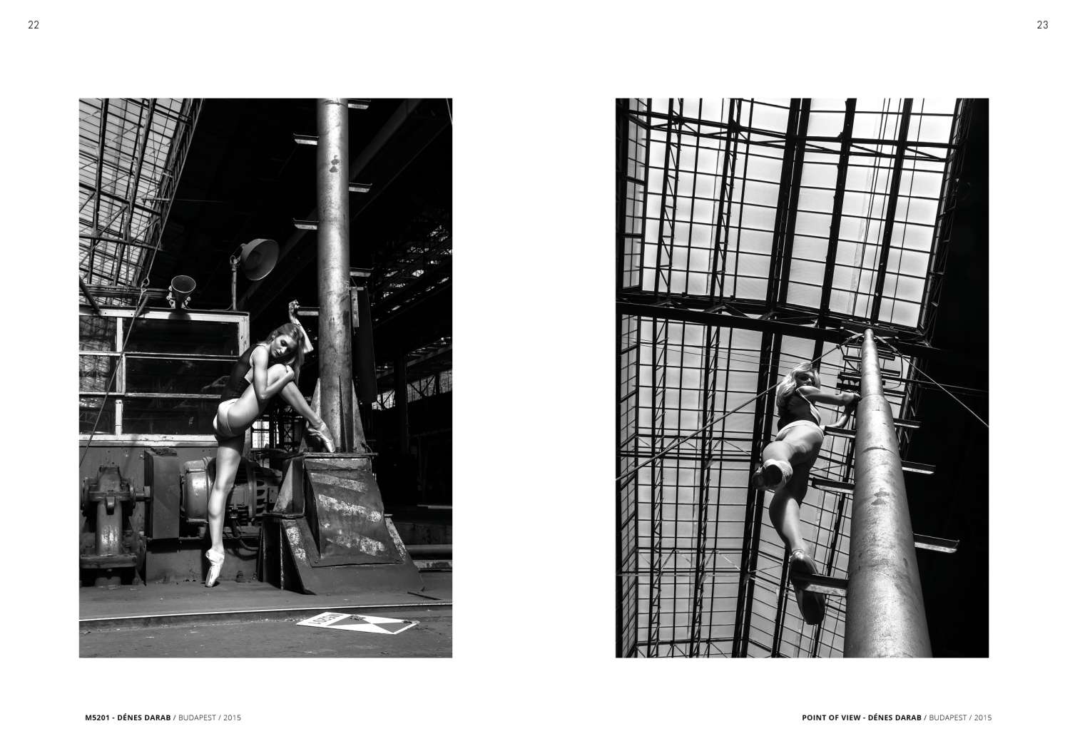 SPECIAL EDITION 2017 - 1 by DenesDarabPhotography