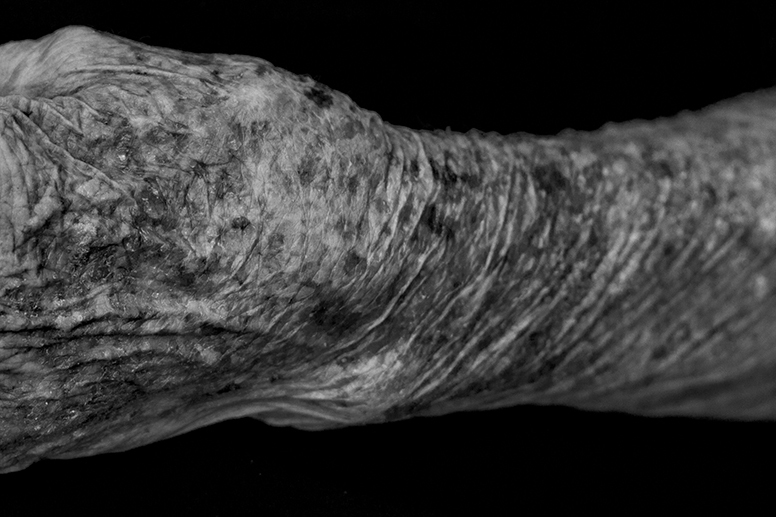 Exitus - 1 by Fej&eacute;r Bernadette