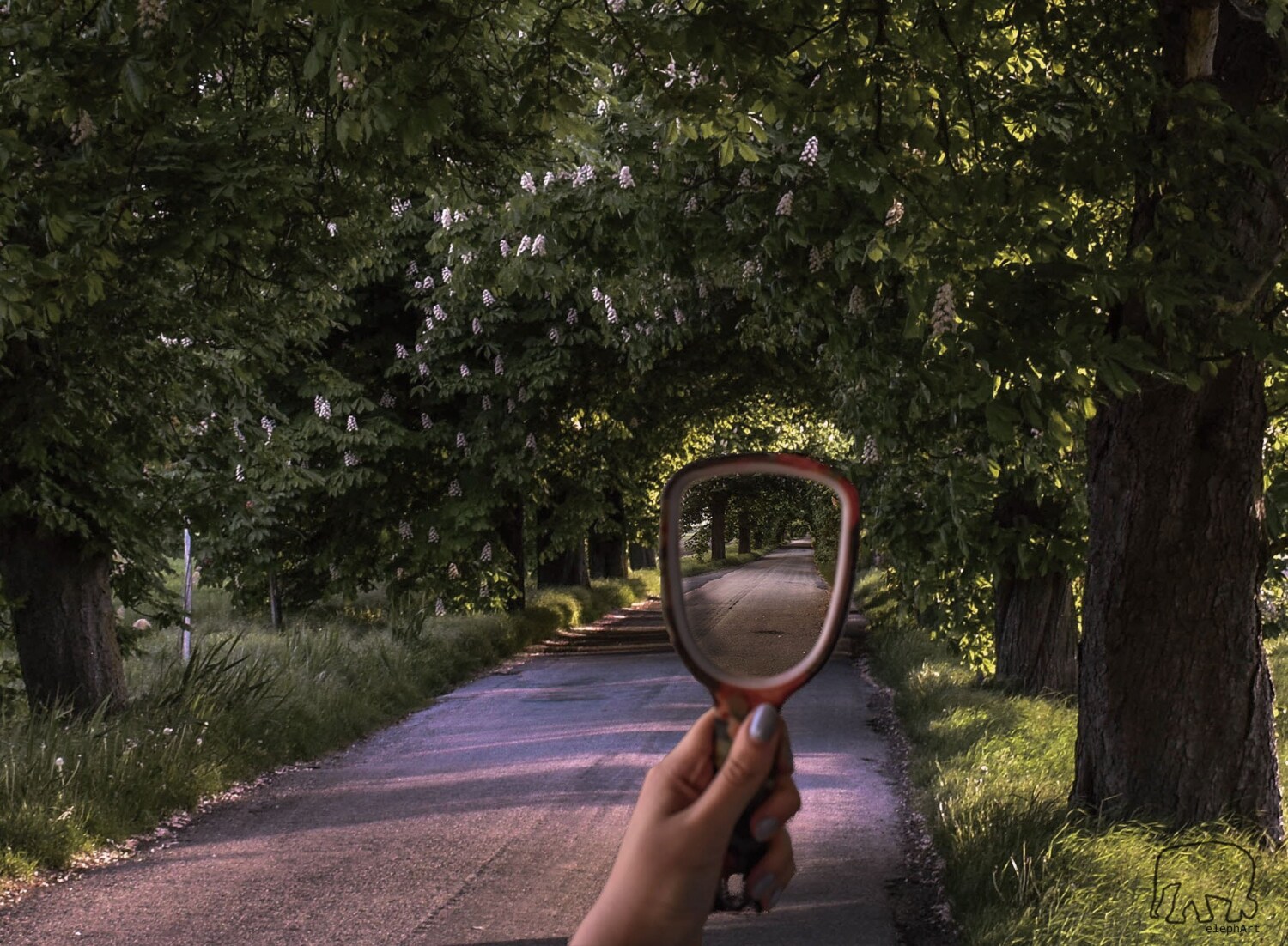 Between two worlds - 1 by Nagy Dorina