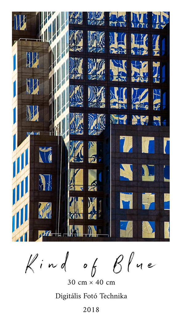 NEW YORK, 2018  - 1 by DenesDarabPhotography