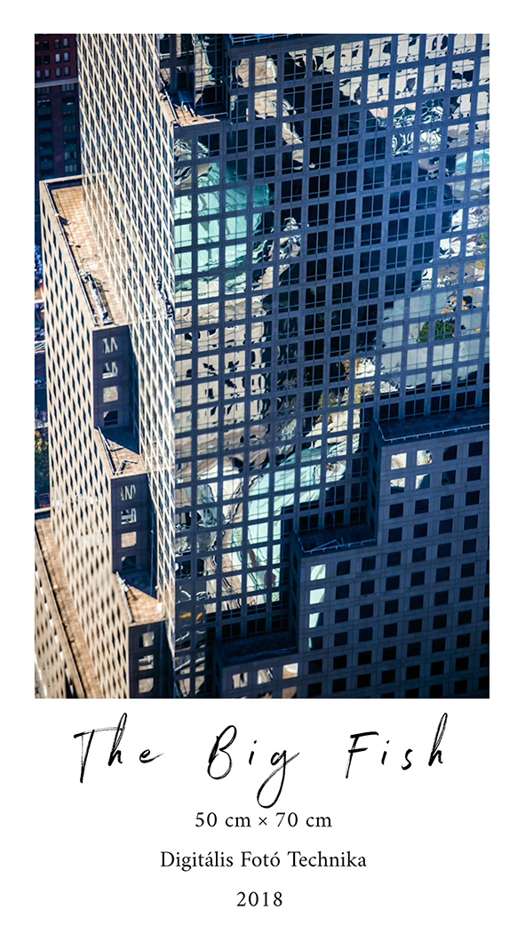 NEW YORK, 2018  - 1 by DenesDarabPhotography