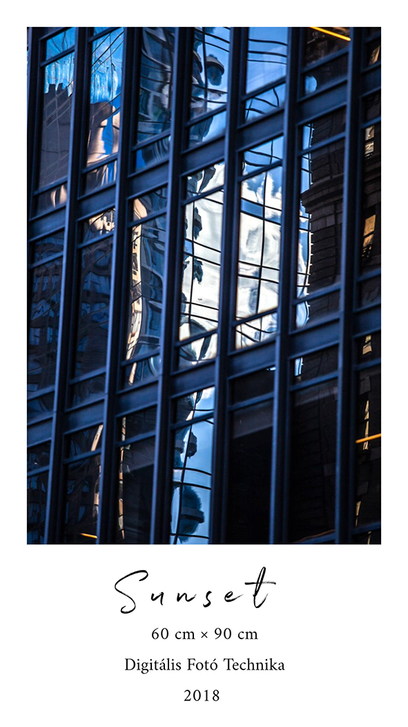 NEW YORK, 2018  - 1 by DenesDarabPhotography