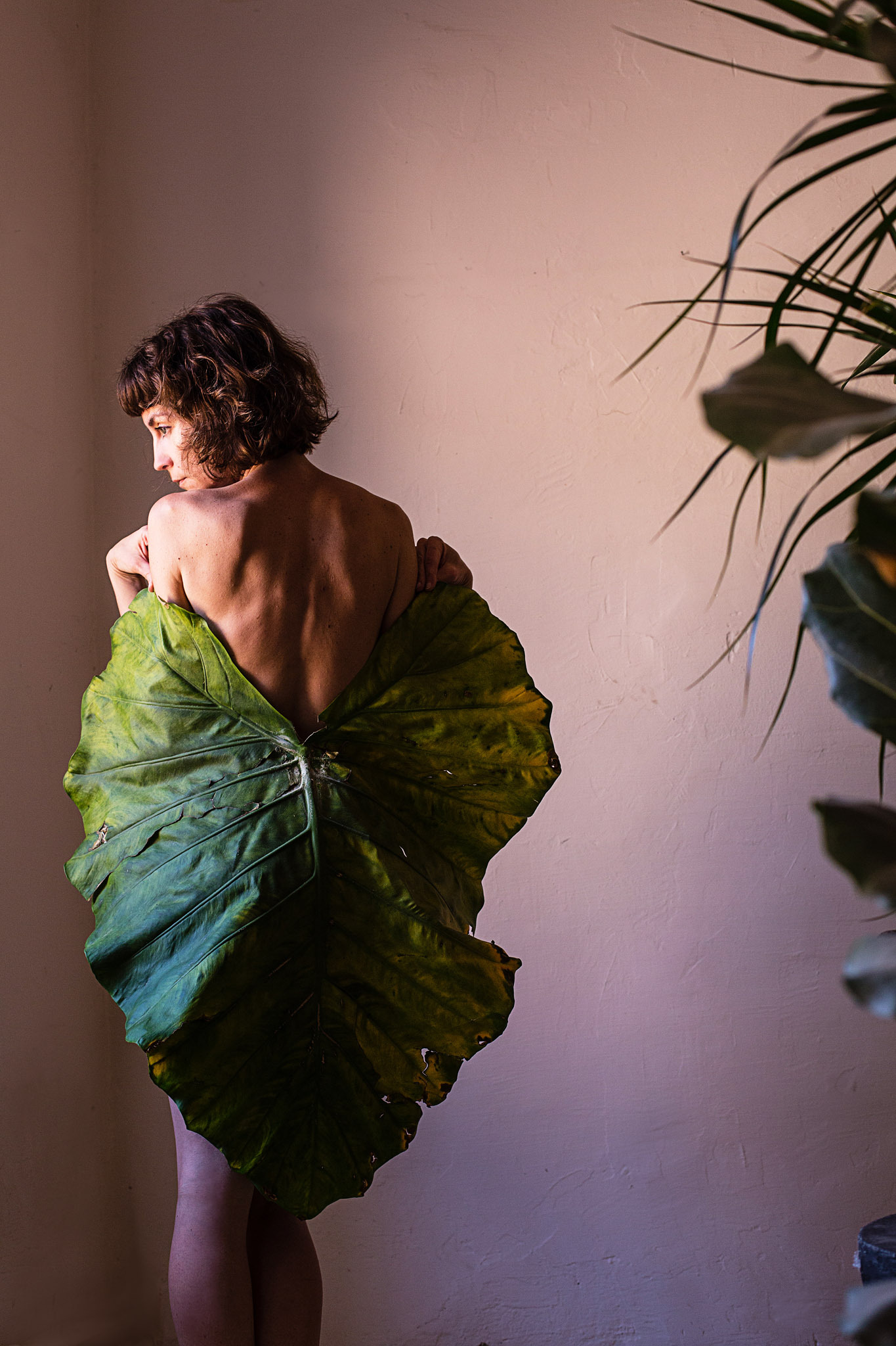 Be Butterfly - 1 by petraszepesvari