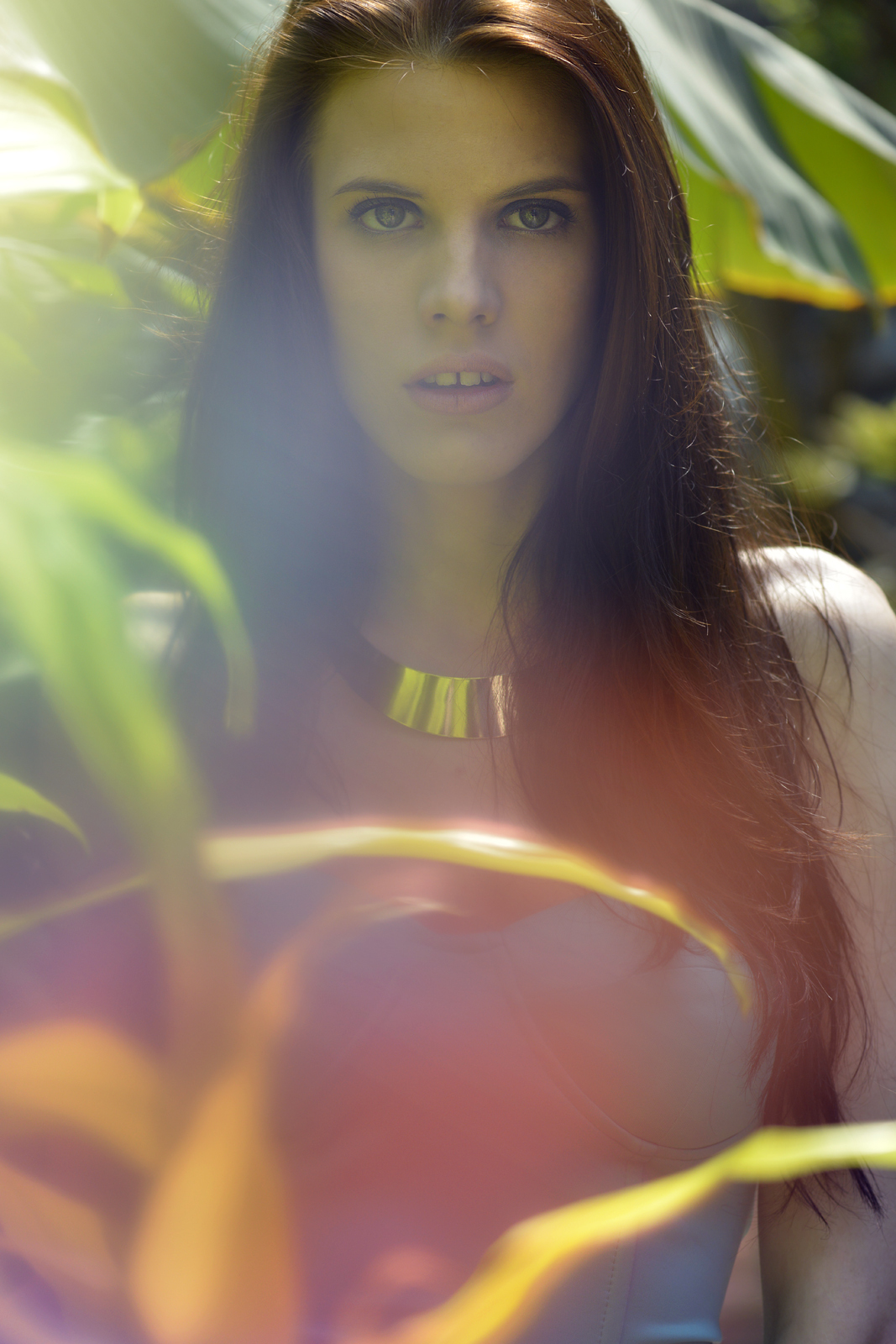 Garden of EDEN - 1 by N&eacute;meth-M&eacute;sz&aacute;ros Zsuzsanna