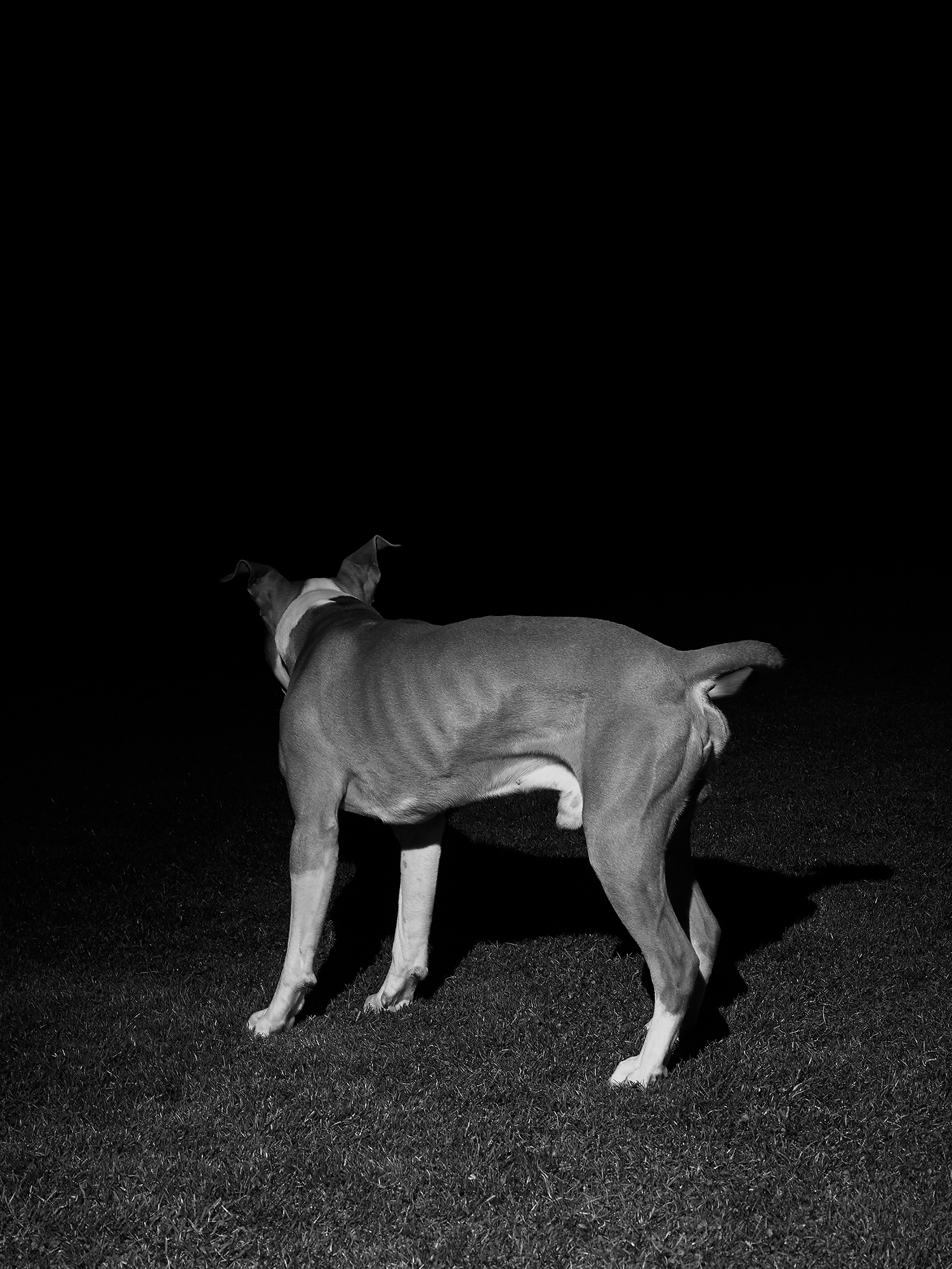 UNSEEN - 1 by Bilak Krystyna