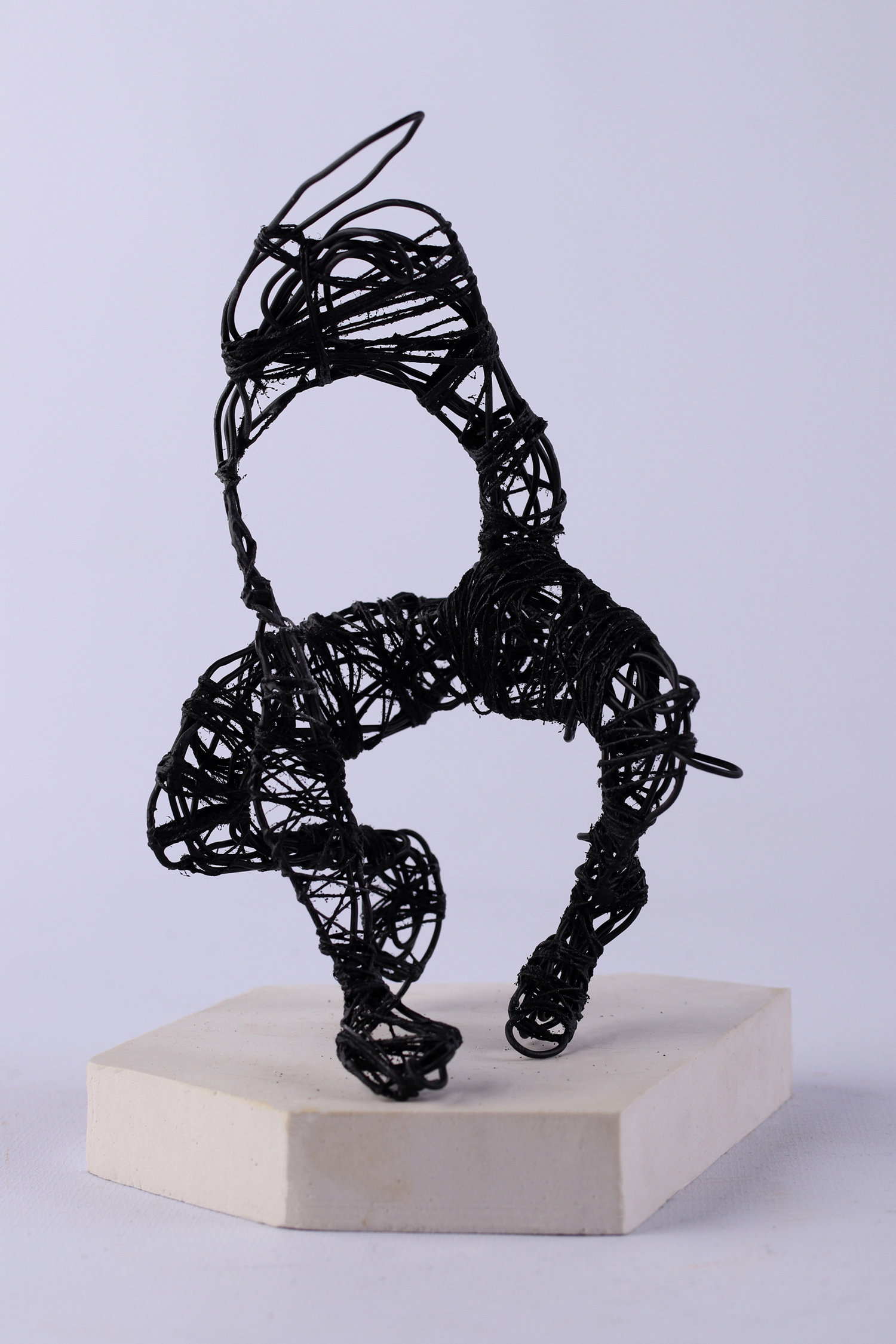 "Firka" - 1 by Endes Zsuzsanna