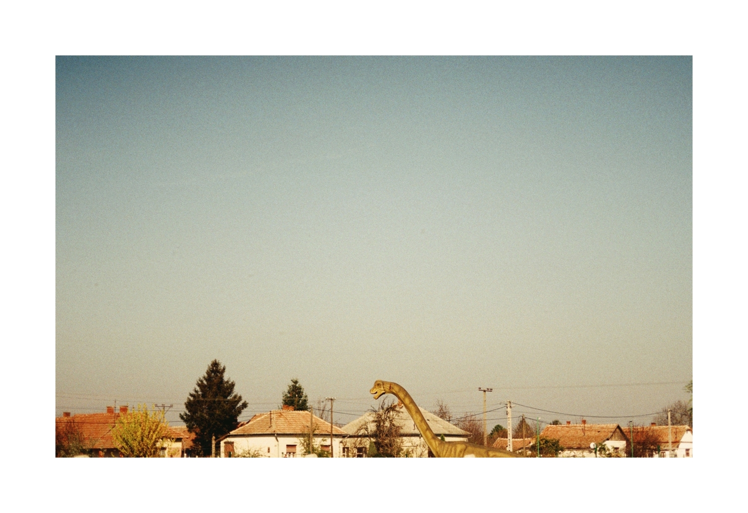 O&aacute;zis pressz&oacute; 35mm - 1 by r&eacute;dai diana