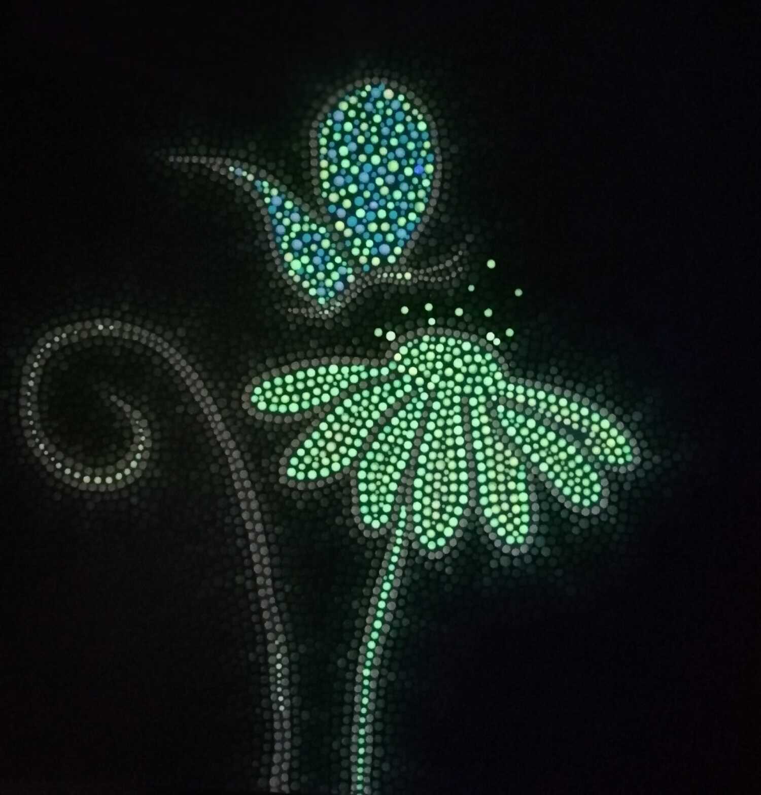 Pillang&oacute; &eacute;s Vir&aacute;g - 1 by Chlo&eacute; Lights