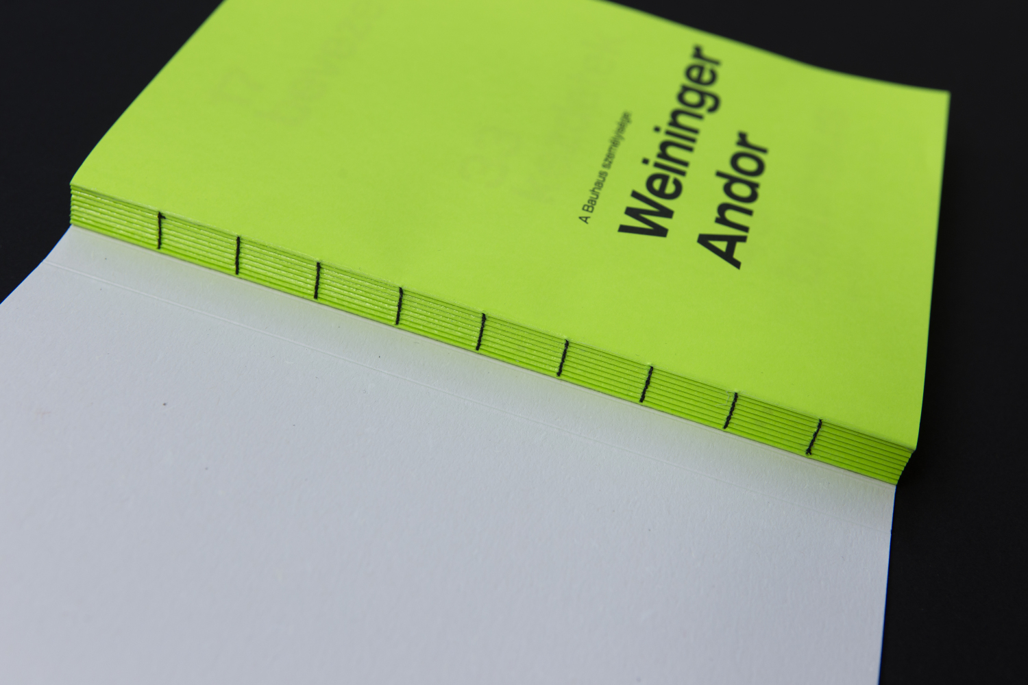 A Bauhaus szem&eacute;lyis&eacute;ge: Weininger Andor - 1 by Szepes Krisztina