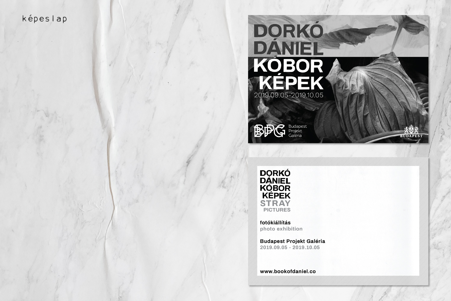 K&oacute;bor K&eacute;pek / Ki&aacute;ll&iacute;t&aacute;s arculat / 2019 - 1 by Dork&oacute; Anna