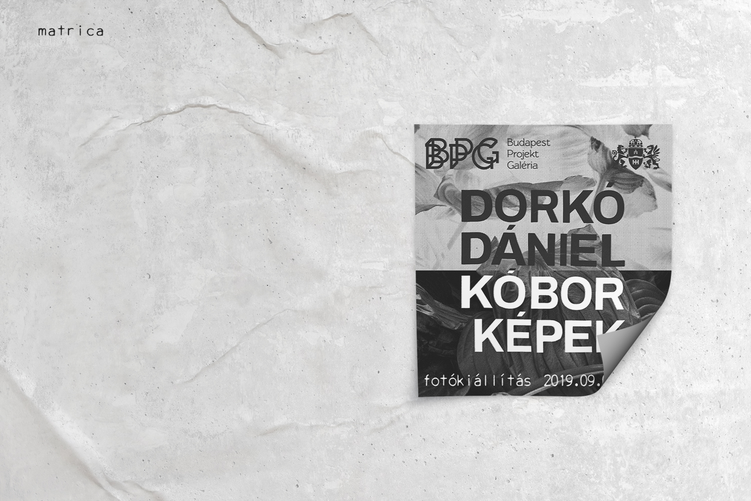K&oacute;bor K&eacute;pek / Ki&aacute;ll&iacute;t&aacute;s arculat / 2019 - 1 by Dork&oacute; Anna