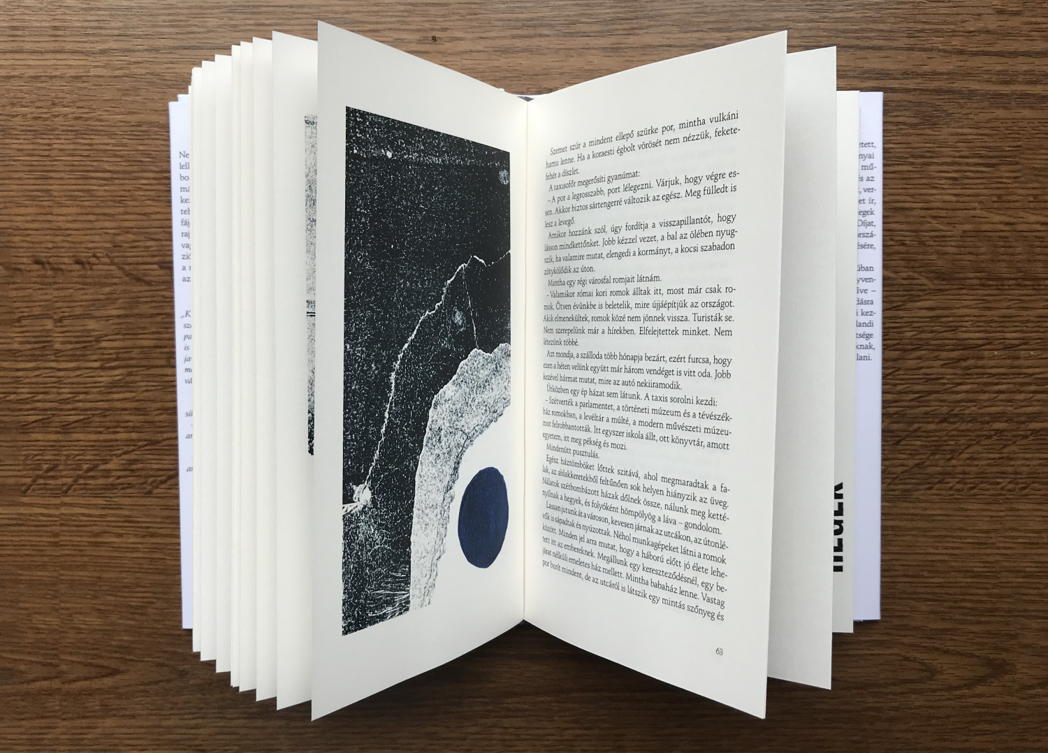 K&ouml;nyvtervez&eacute;s &ndash; Au&eth;ur Ava &Oacute;lafsd&oacute;ttir: Hegek - 1 by T&aacute;las Wanda