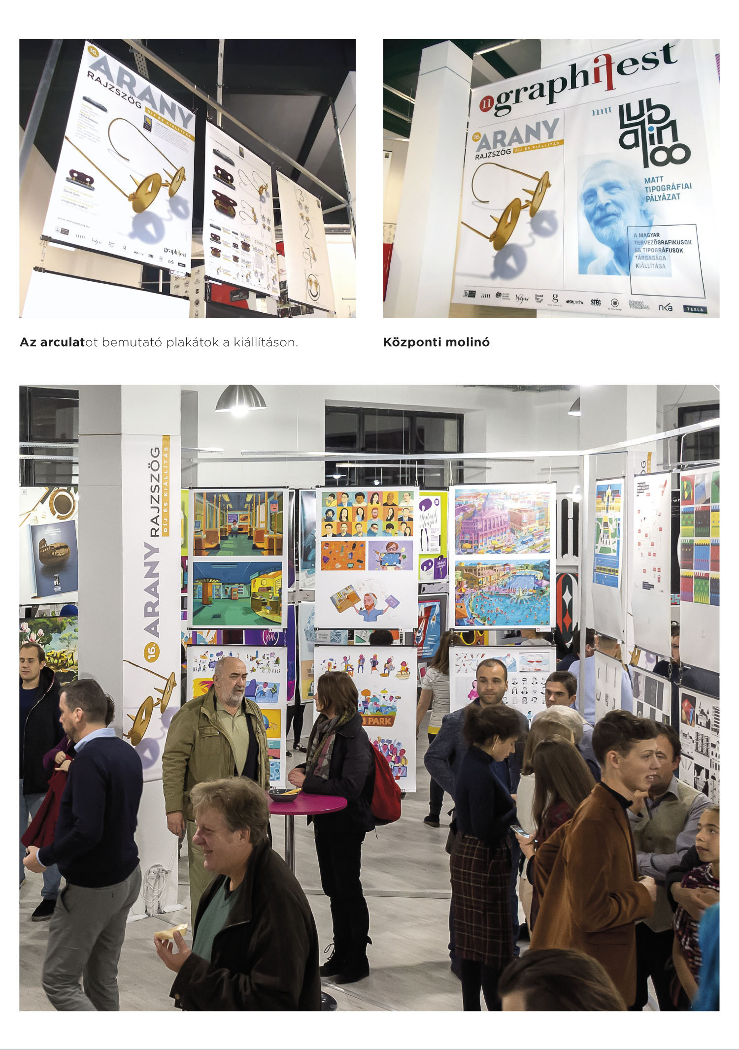 16. Aranyrajzsz&ouml;g ki&aacute;ll&iacute;t&aacute;s dinamikus arculata 2018 - 1 by Kara Gy&ouml;rgy