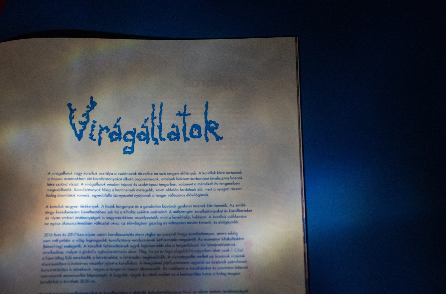 Vir&aacute;g&aacute;llatok- Risograph Zine - 1 by paulaasztalos