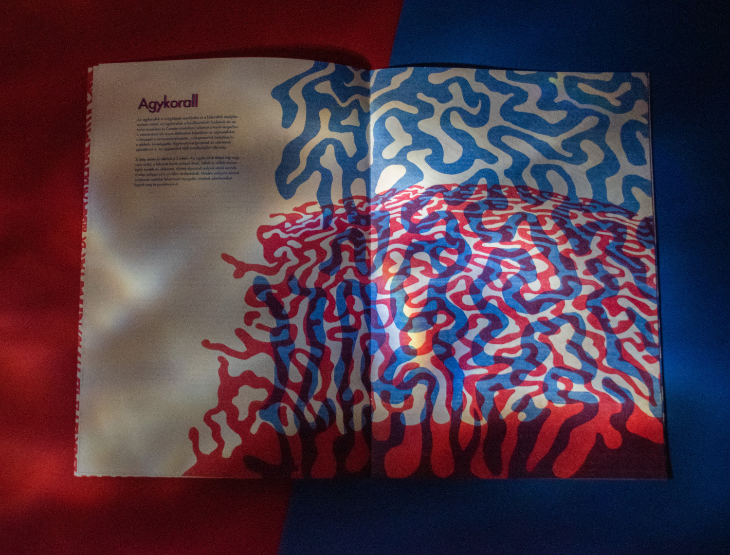 Vir&aacute;g&aacute;llatok- Risograph Zine - 1 by paulaasztalos