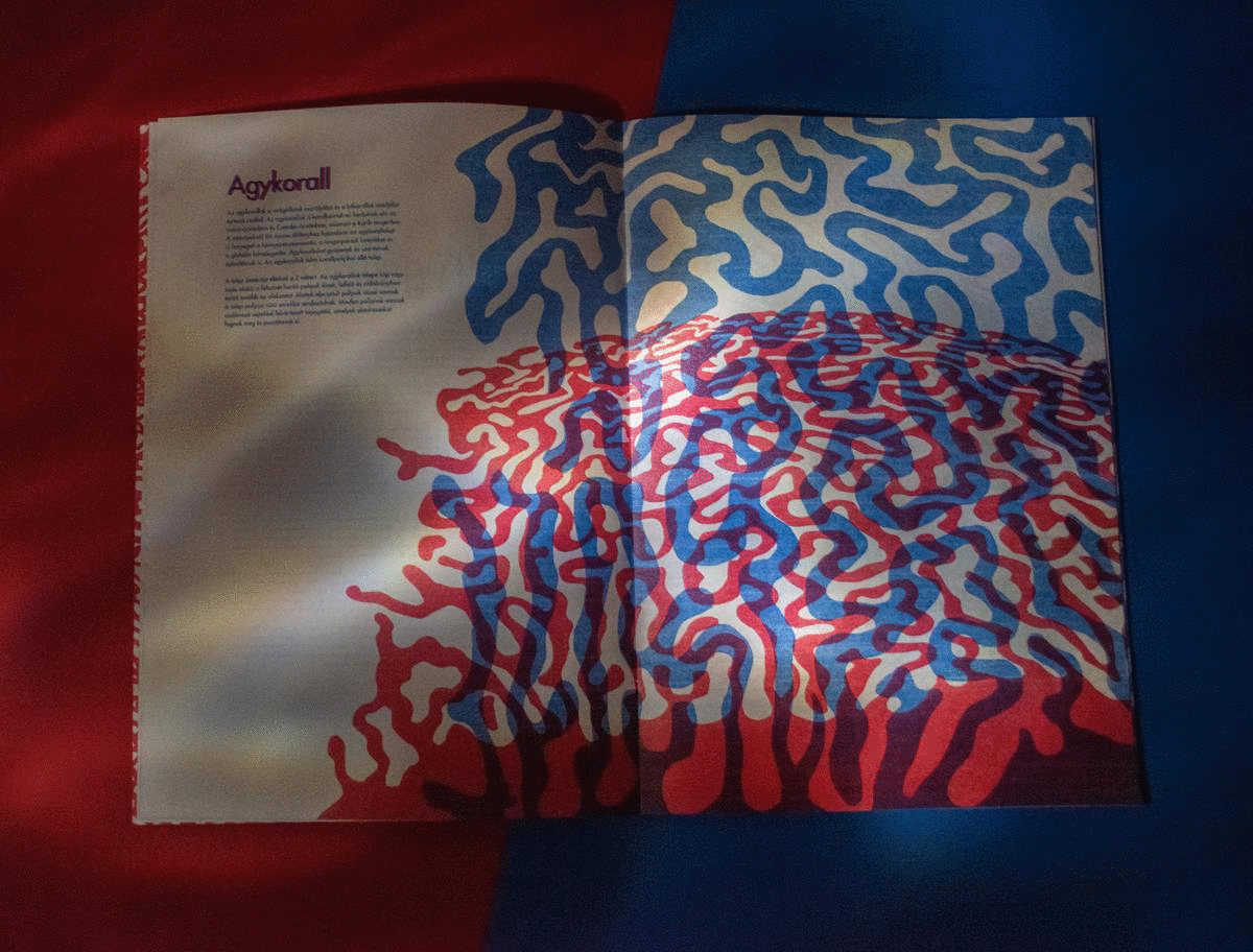 Vir&aacute;g&aacute;llatok- Risograph Zine - 1 by paulaasztalos