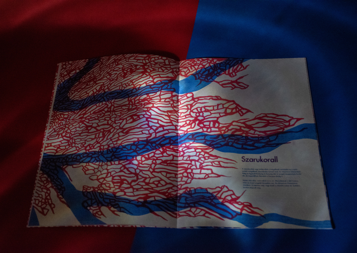 Vir&aacute;g&aacute;llatok- Risograph Zine - 1 by paulaasztalos