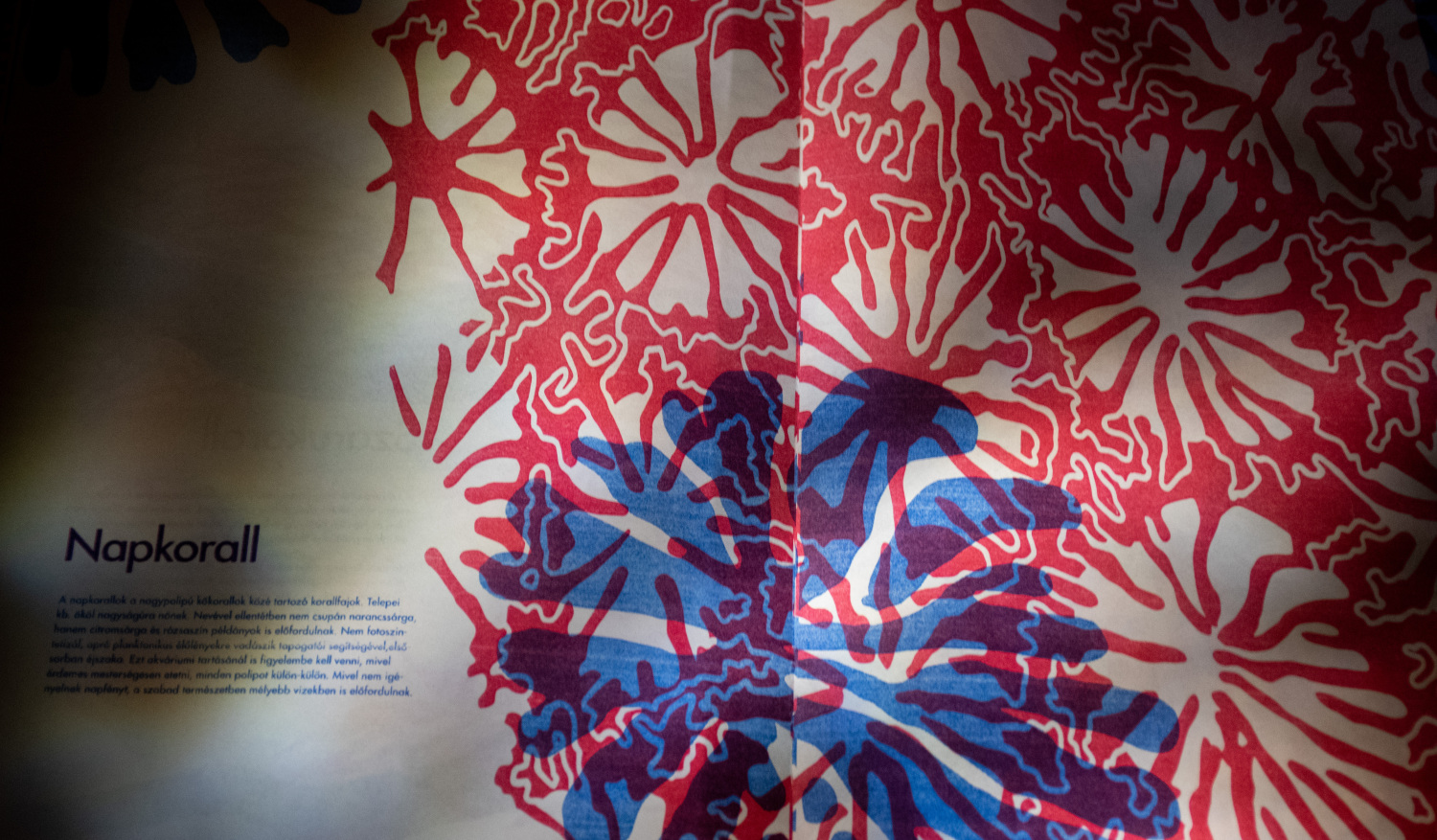 Vir&aacute;g&aacute;llatok- Risograph Zine - 1 by paulaasztalos