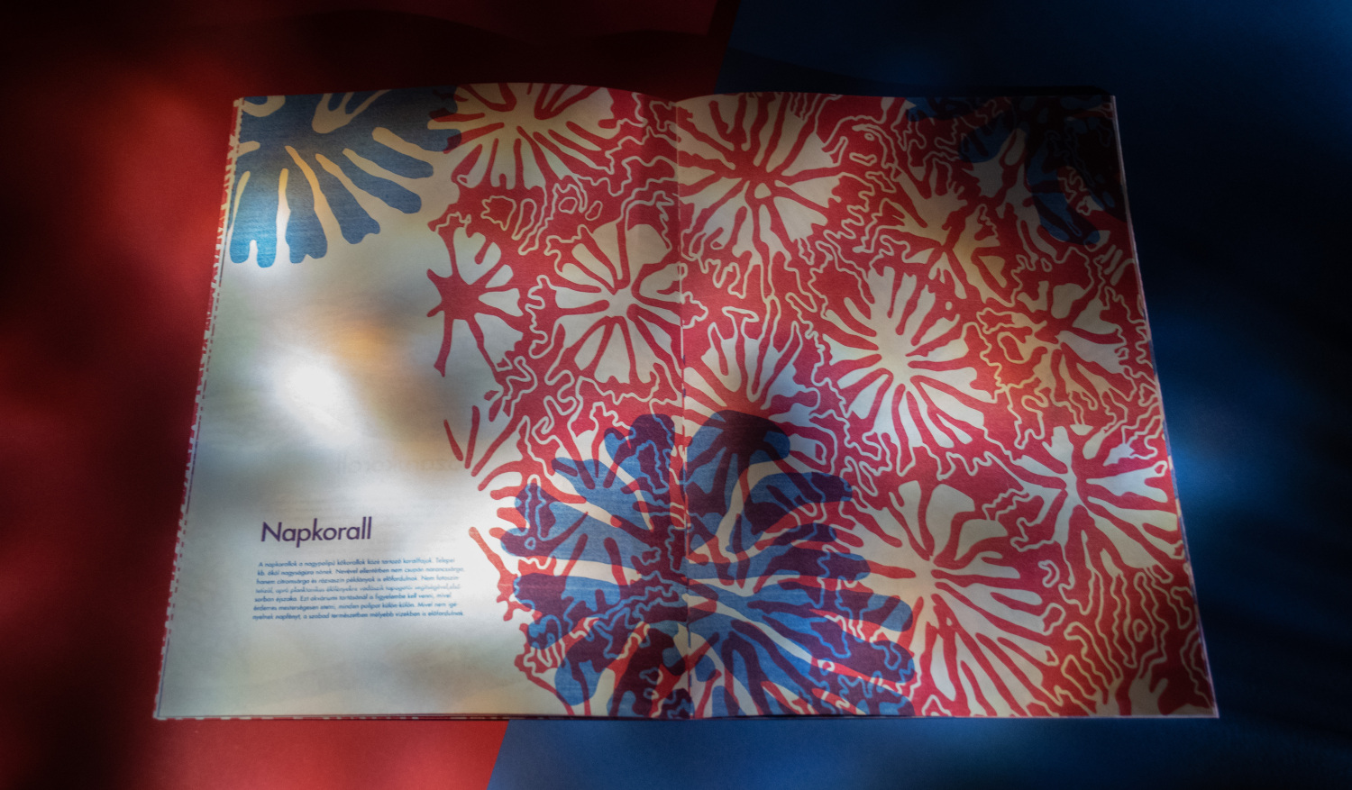 Vir&aacute;g&aacute;llatok- Risograph Zine - 1 by paulaasztalos