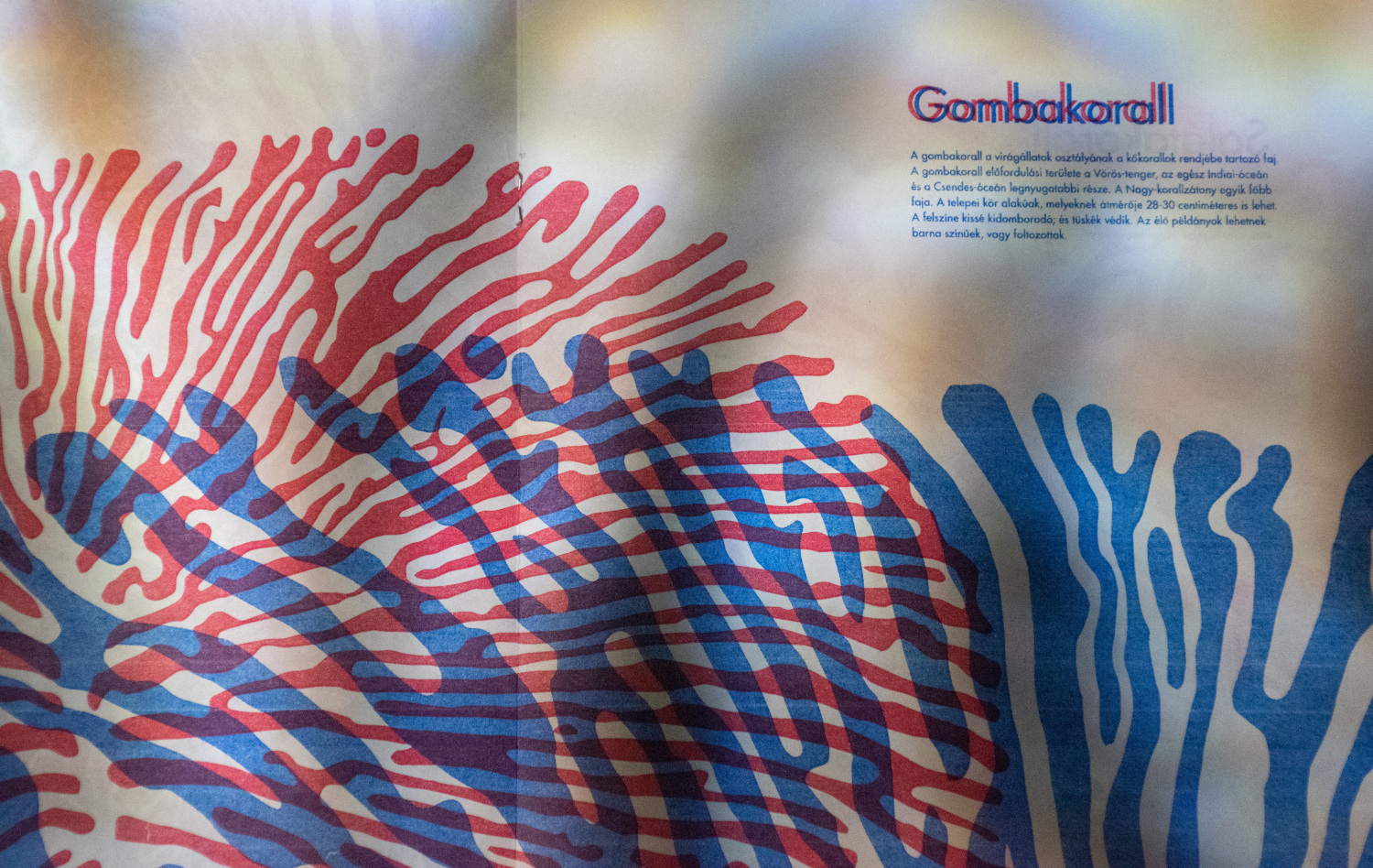Vir&aacute;g&aacute;llatok- Risograph Zine - 1 by paulaasztalos