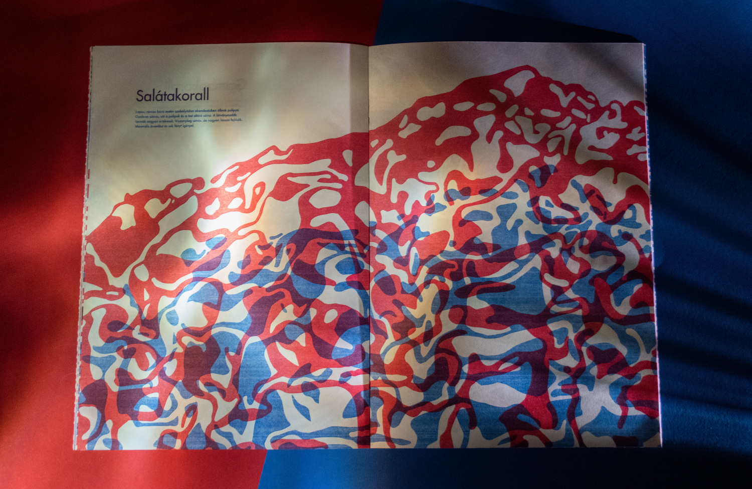 Vir&aacute;g&aacute;llatok- Risograph Zine - 1 by paulaasztalos