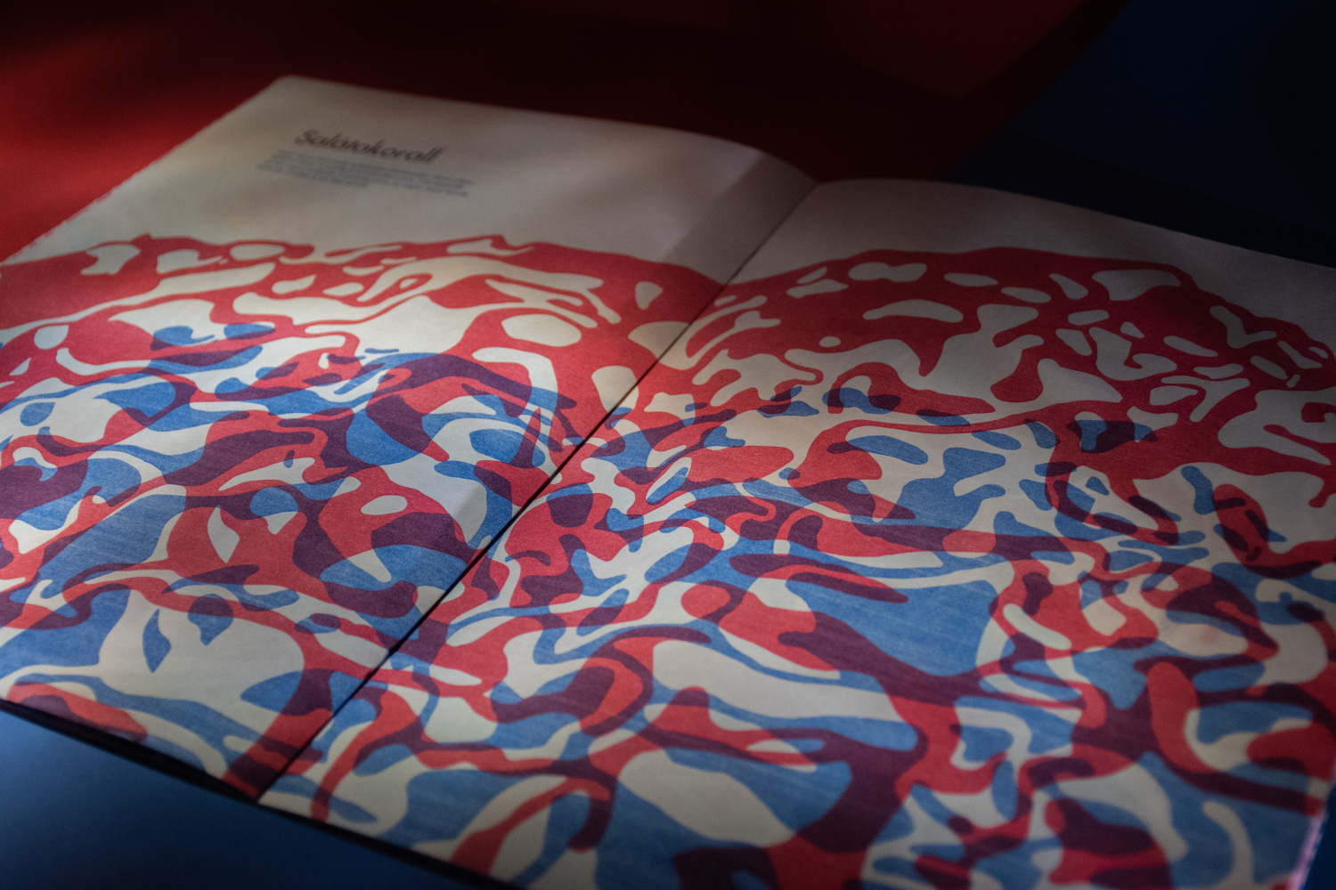 Vir&aacute;g&aacute;llatok- Risograph Zine - 1 by paulaasztalos