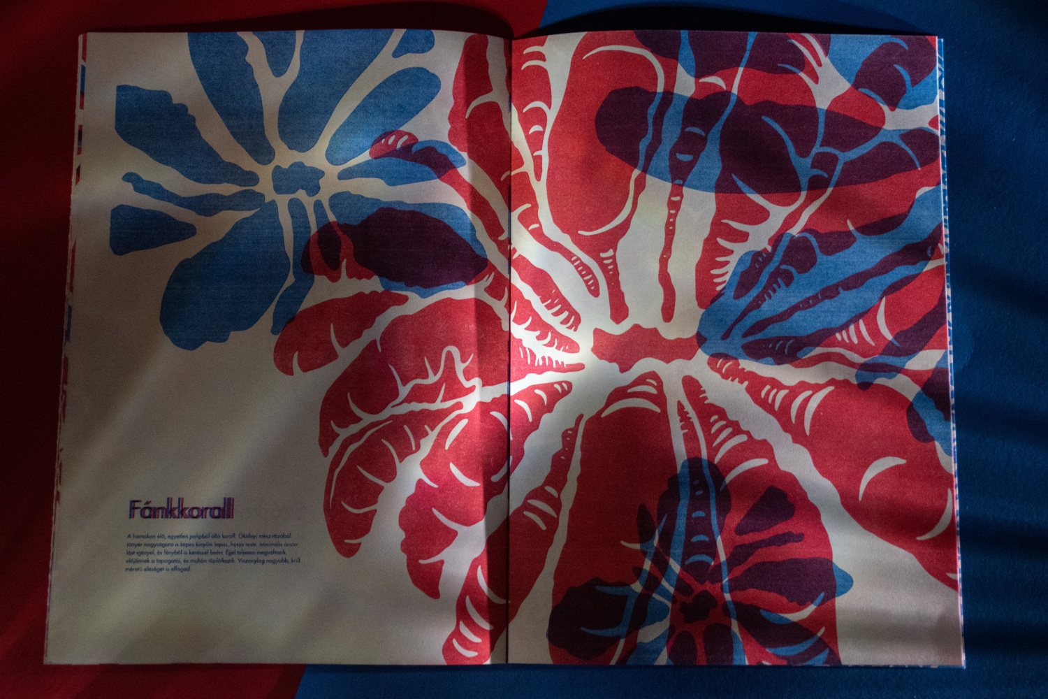 Vir&aacute;g&aacute;llatok- Risograph Zine - 1 by paulaasztalos