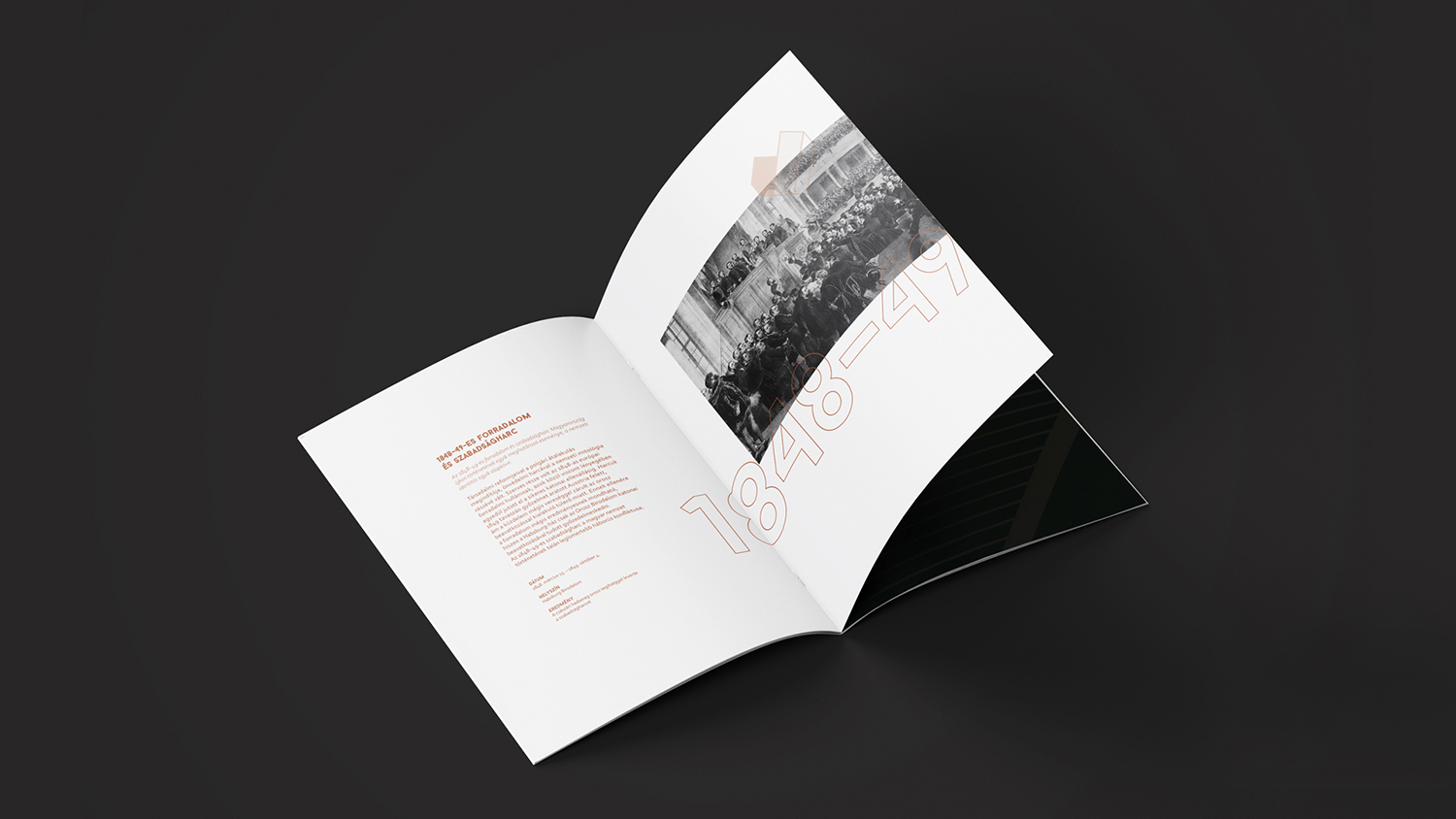 Szabads&aacute;gharcosok a magyar k&aacute;rty&aacute;n  - 1 by Eső  D&oacute;ra