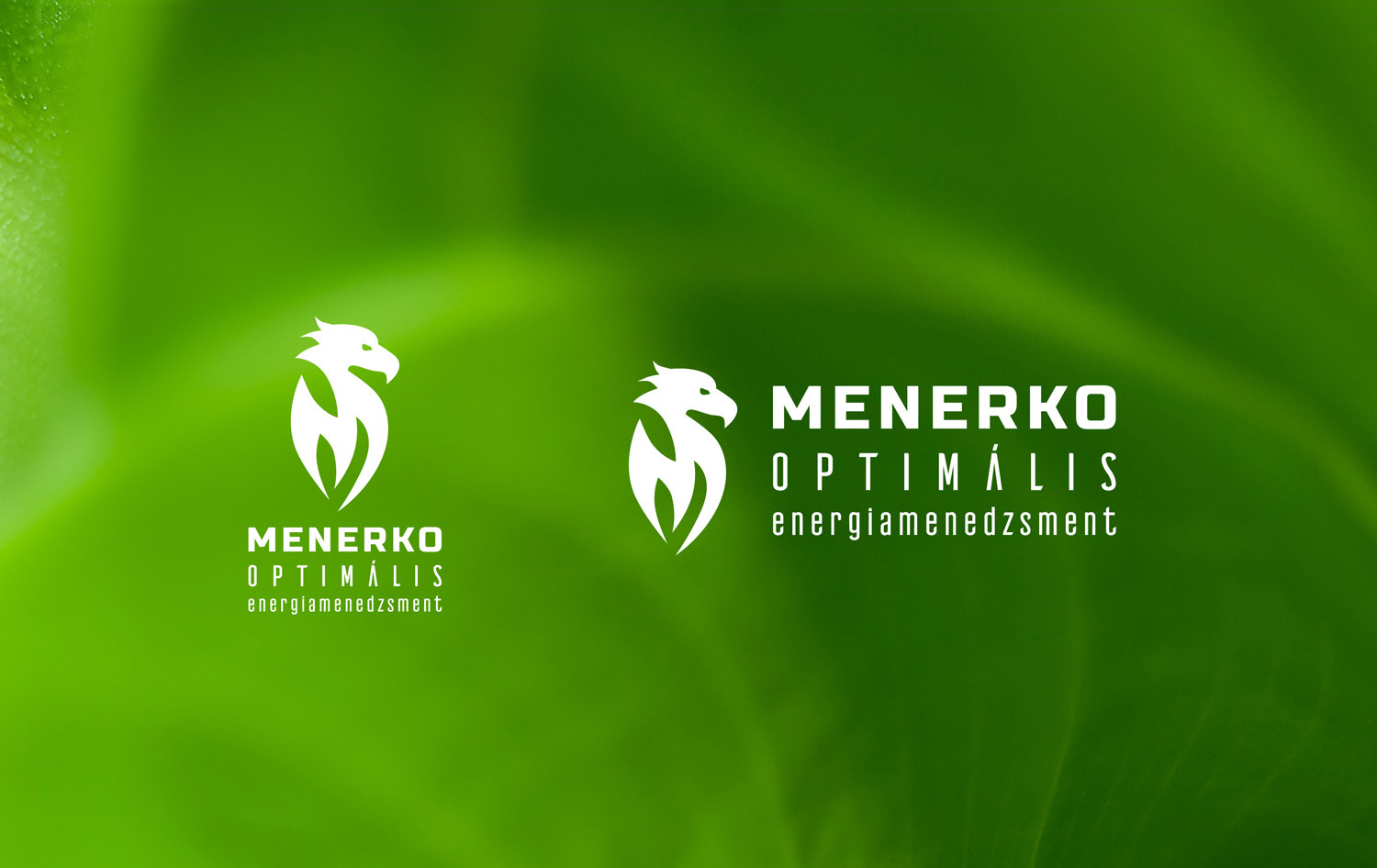 Energiamenedzsment log&oacute; - 1 by Tongori  Szilvia