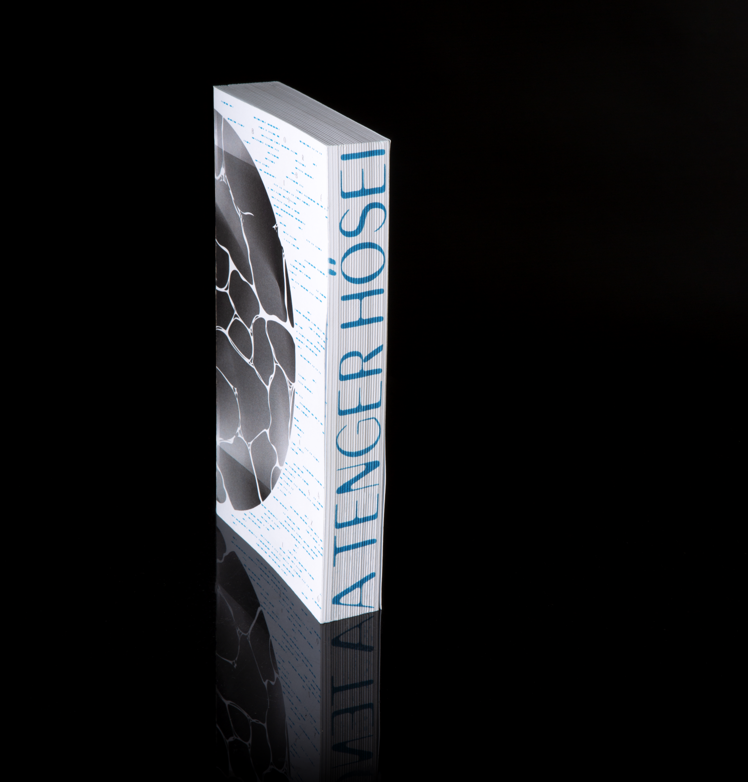 INDESTRUCTIBLE BOOK - 1 by Kiss Benedek