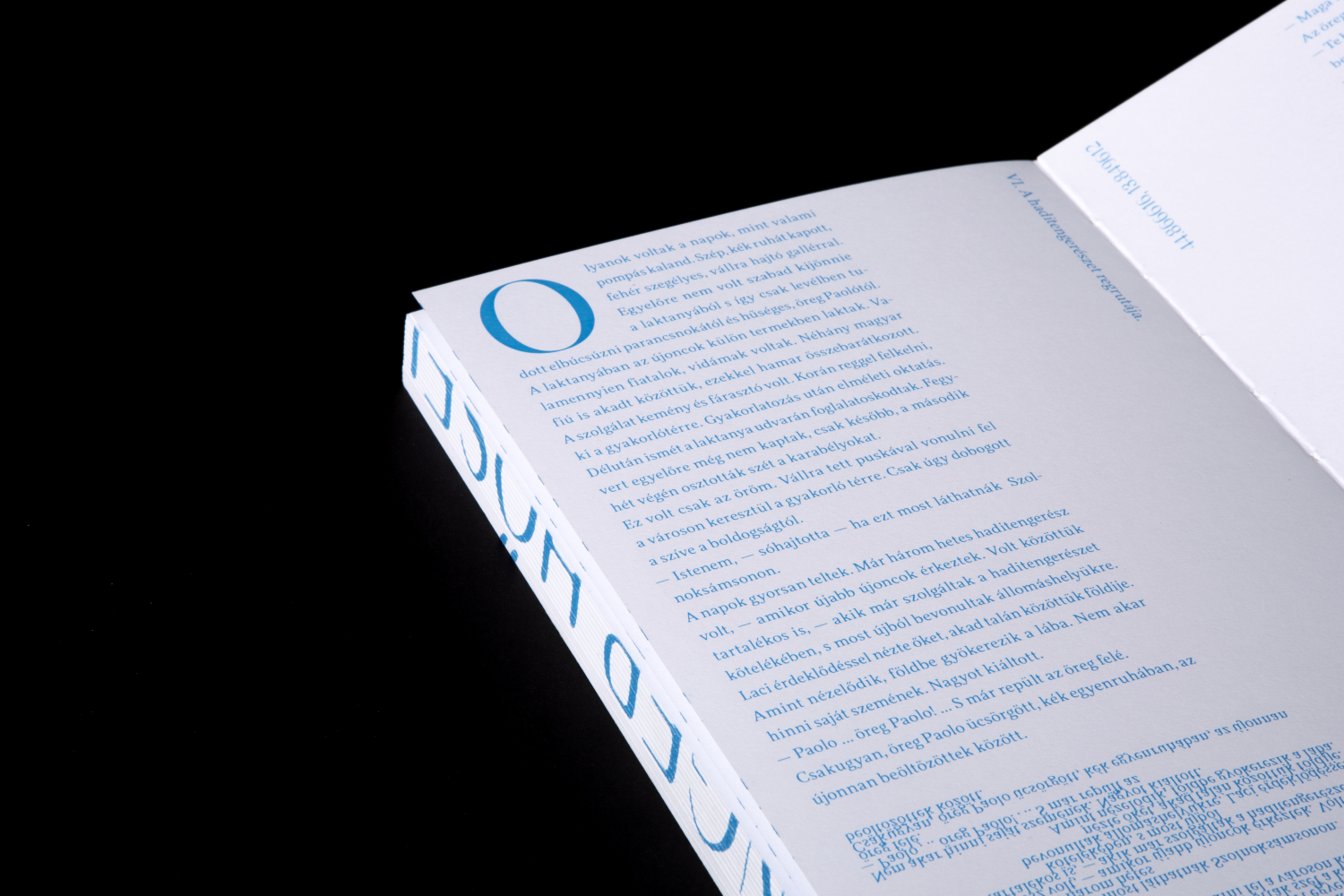 INDESTRUCTIBLE BOOK - 1 by Kiss Benedek