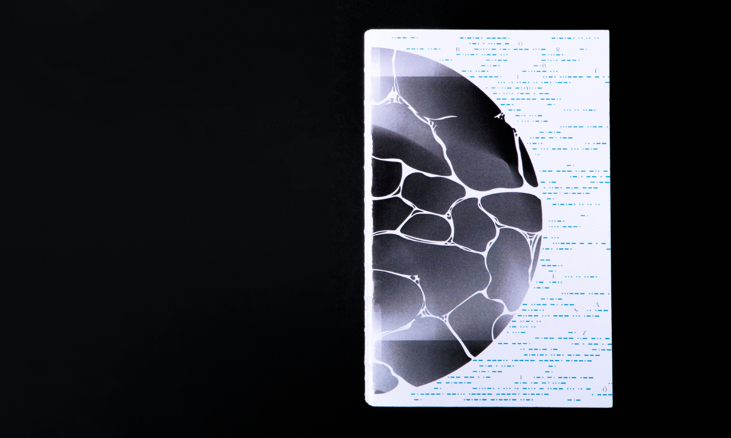 INDESTRUCTIBLE BOOK - 1 by Kiss Benedek