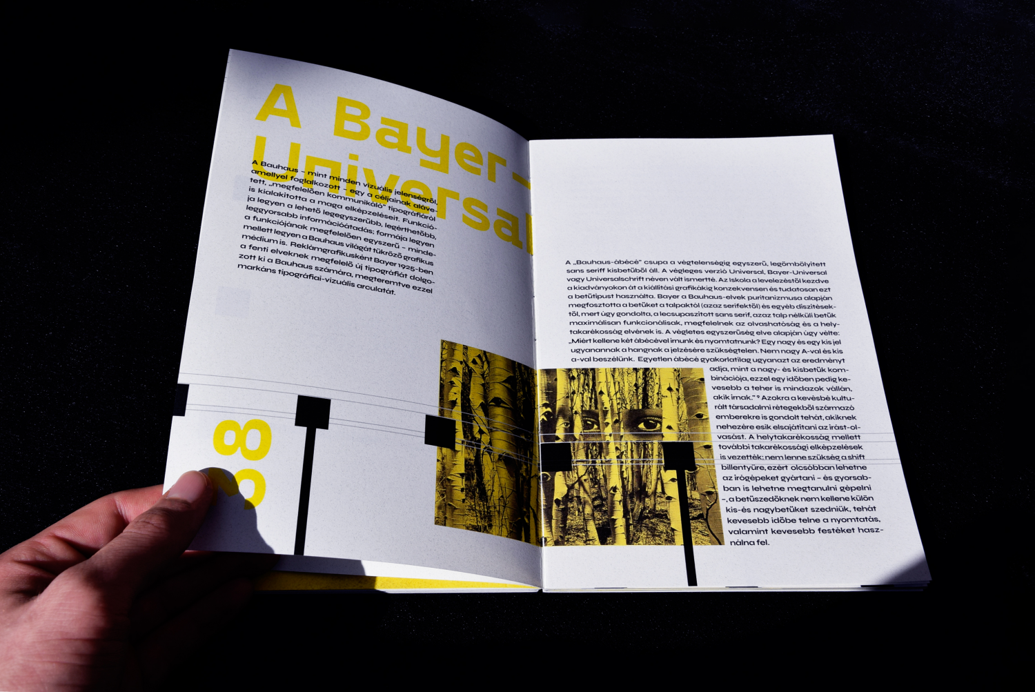 - bayer - herbert bayer munk&aacute;ss&aacute;ga a bauhausban  - 1 by Kiss Benedek