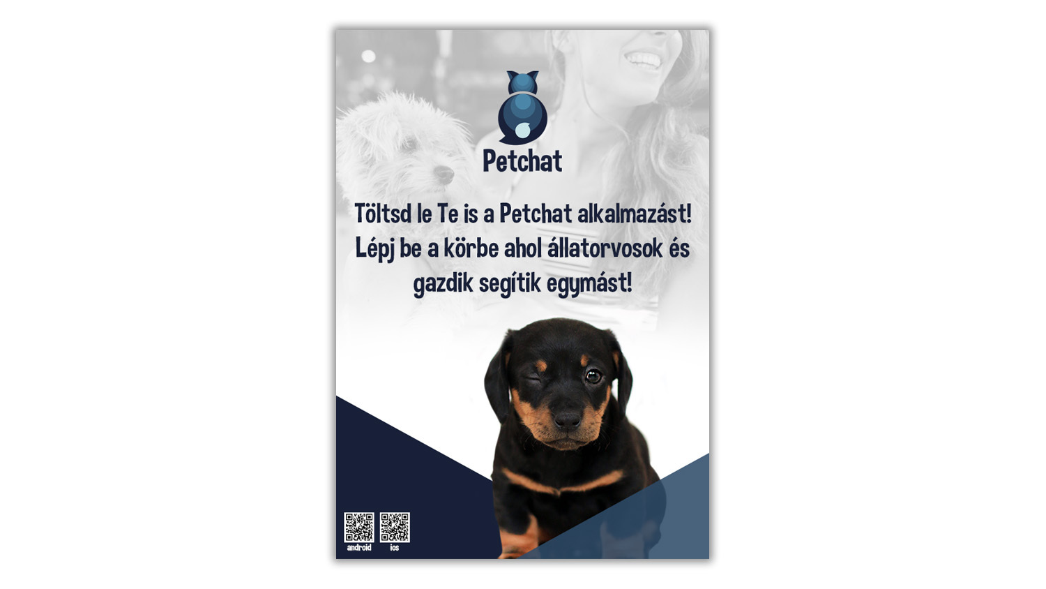 Petchat - 1 by Bertha Gergely