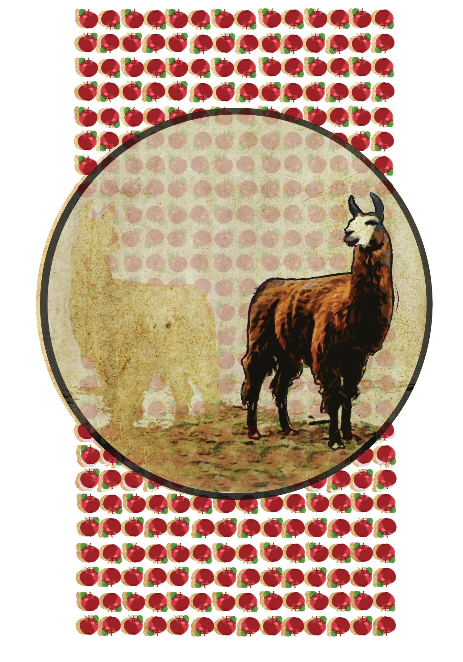 Baley Endre: F&ouml;ld-leng&eacute;s, 2016 - 1 by Vincze Jutka