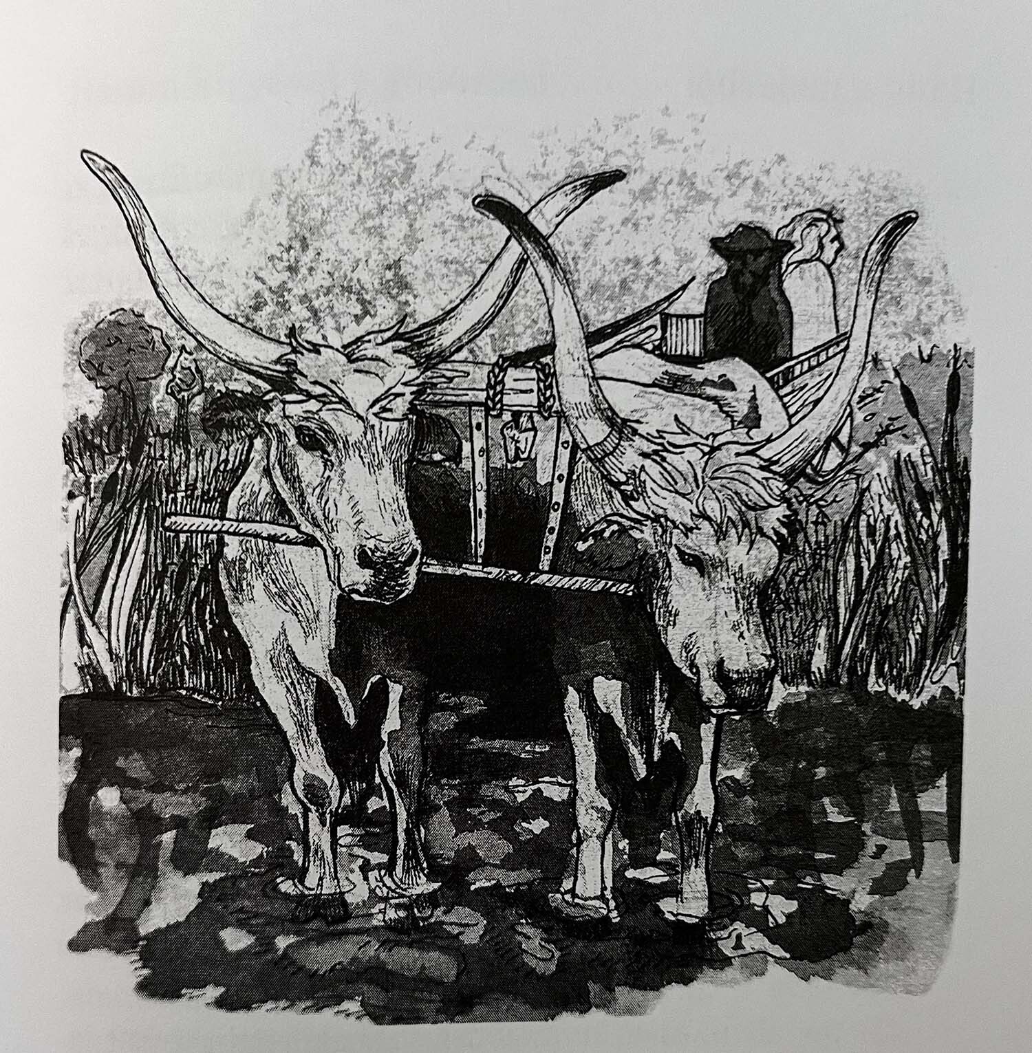 K&iacute;gy&oacute;kő, 2018 - 1 by Vincze Jutka