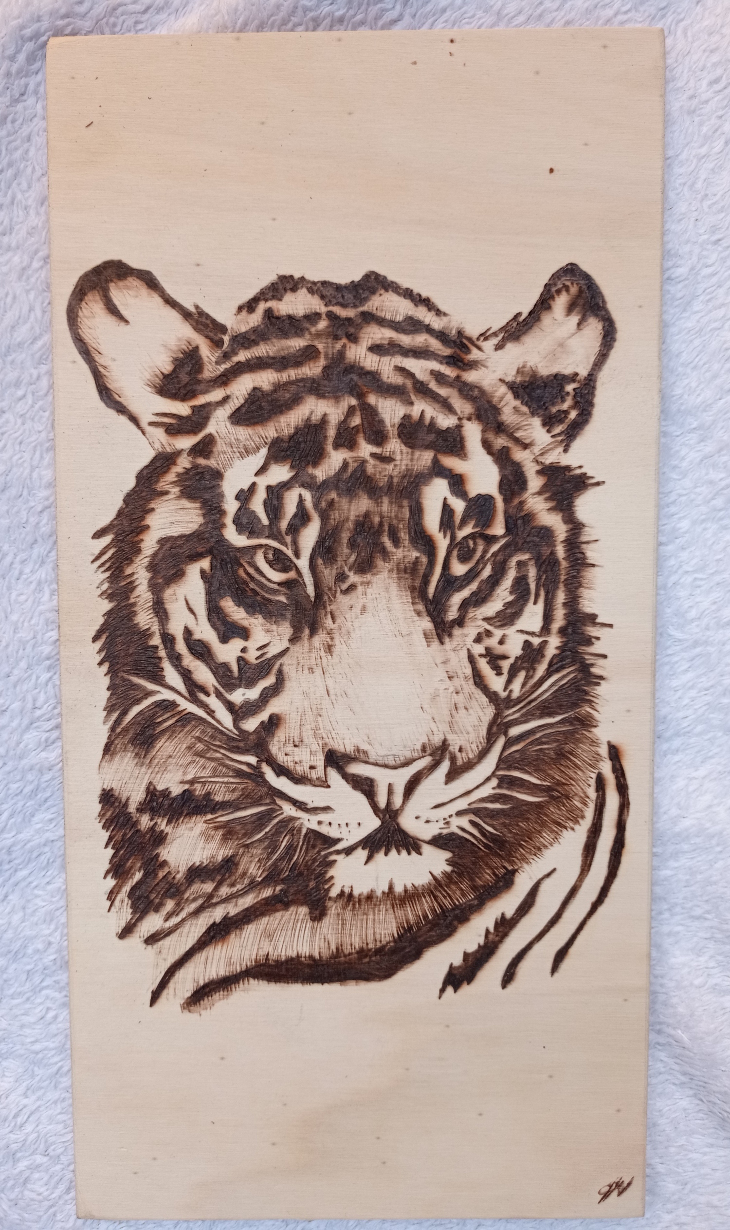 Piro Tigris  - 1 by Papp Nikoletta