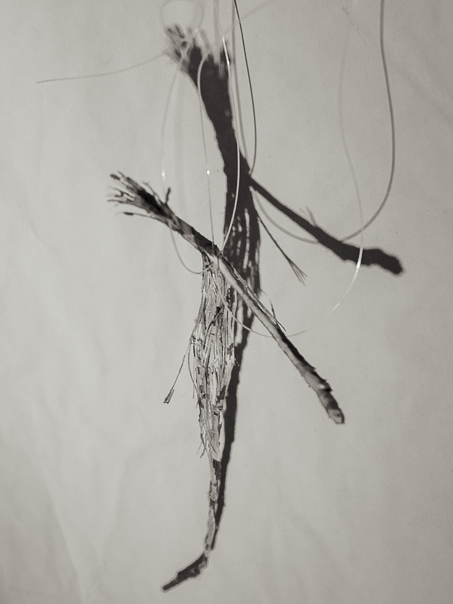 Antropomorph&eacute; - 1 by Kőműves Csilla