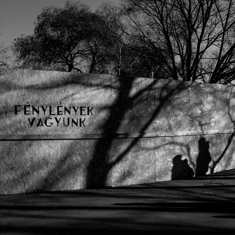 F&Eacute;NYL&Eacute;NYEK VAGYUNK! - 1 by S&aacute;ndor L&aacute;szl&oacute;