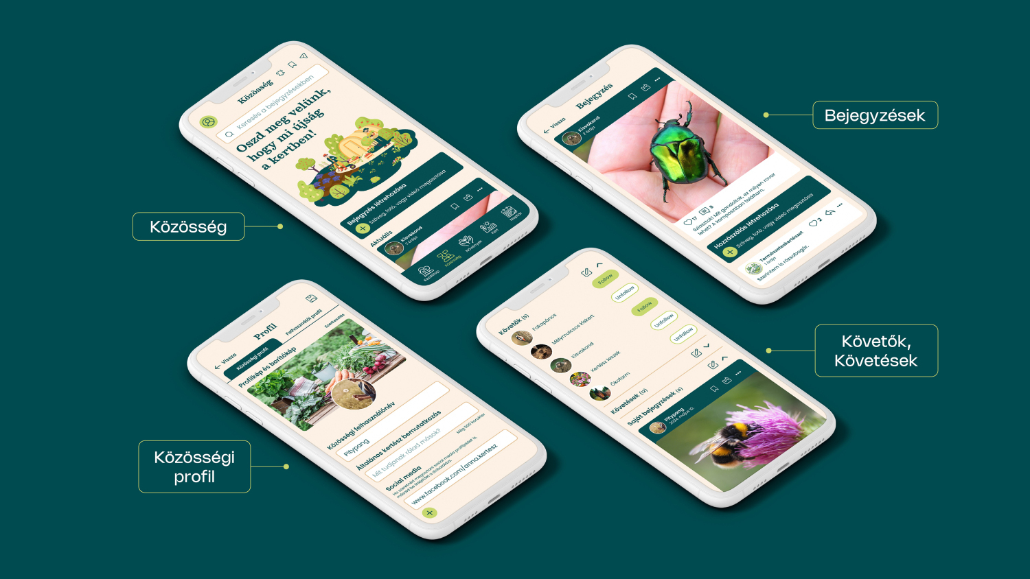 &Ouml;kokert UX/UI design - 1 by Kov&aacute;cs Judit