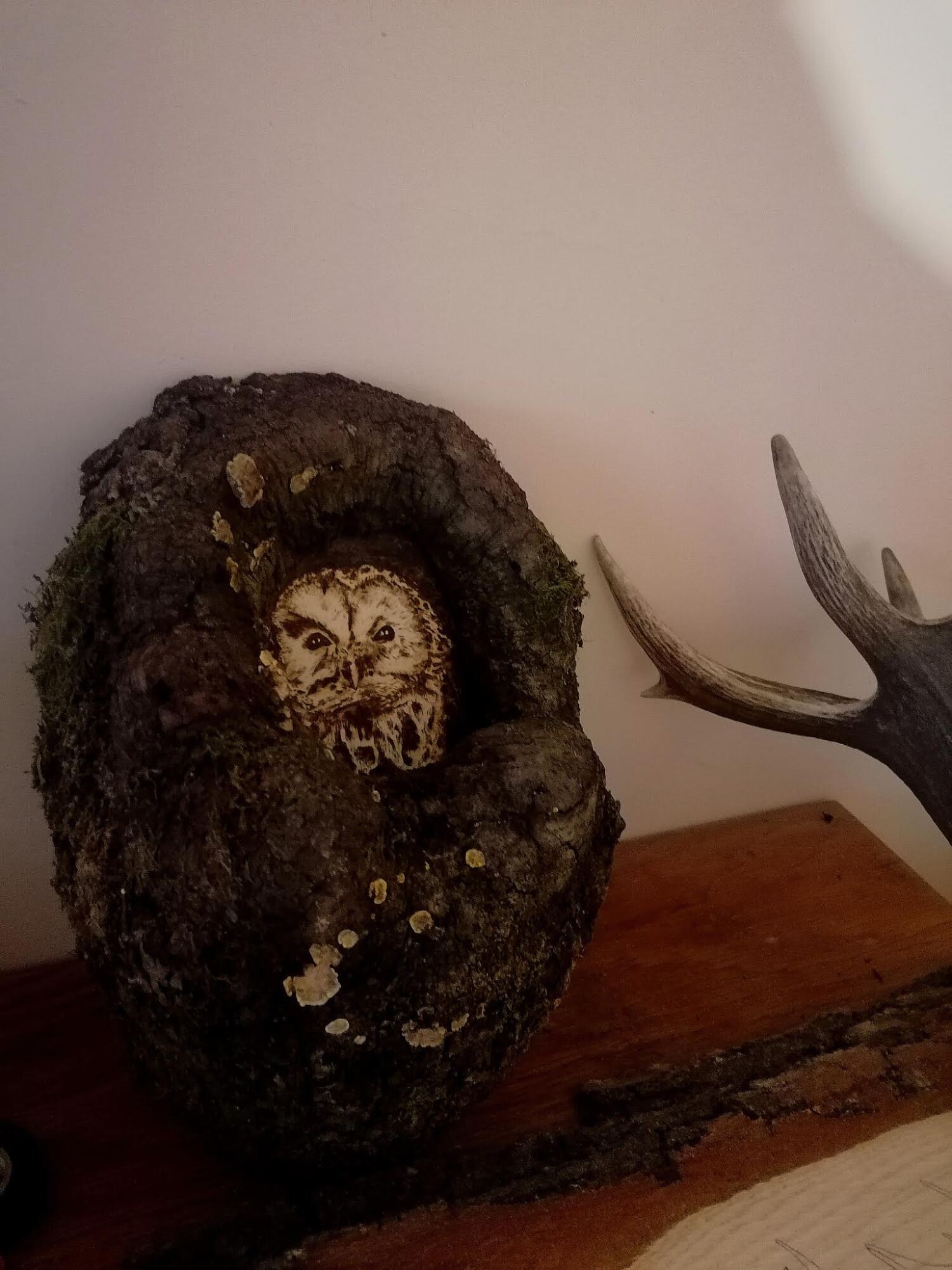 Pyrography - 1 by Szita Krist&oacute;f