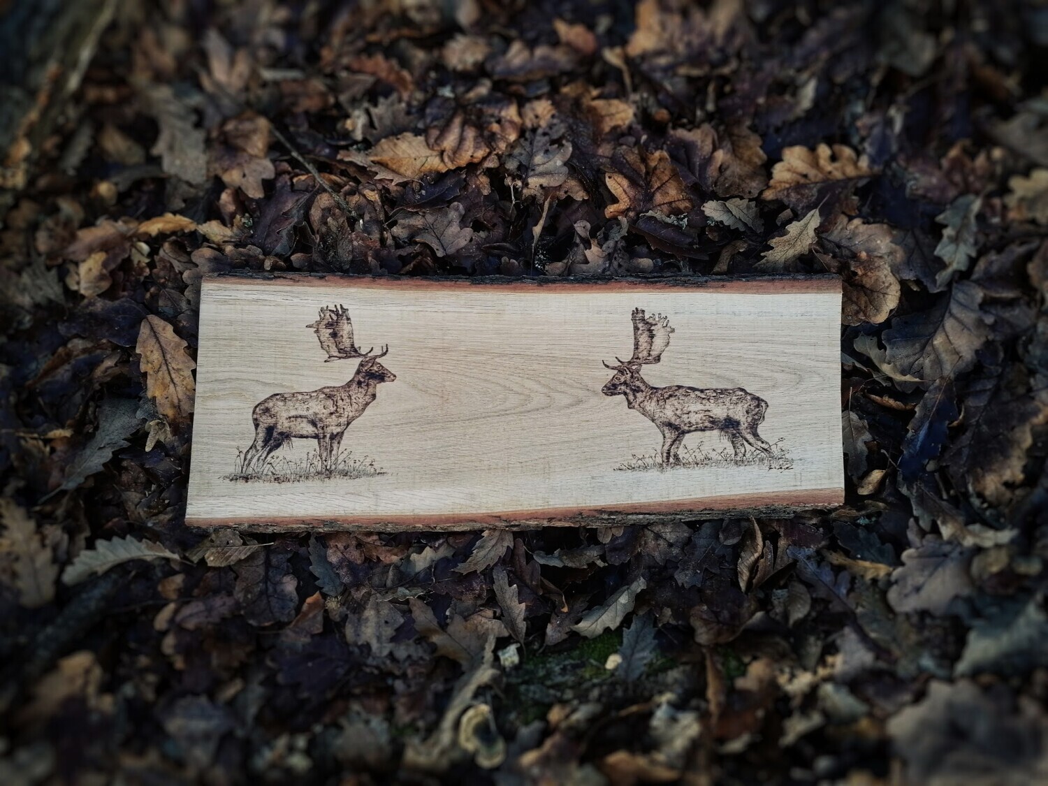 Pyrography - 1 by Szita Krist&oacute;f