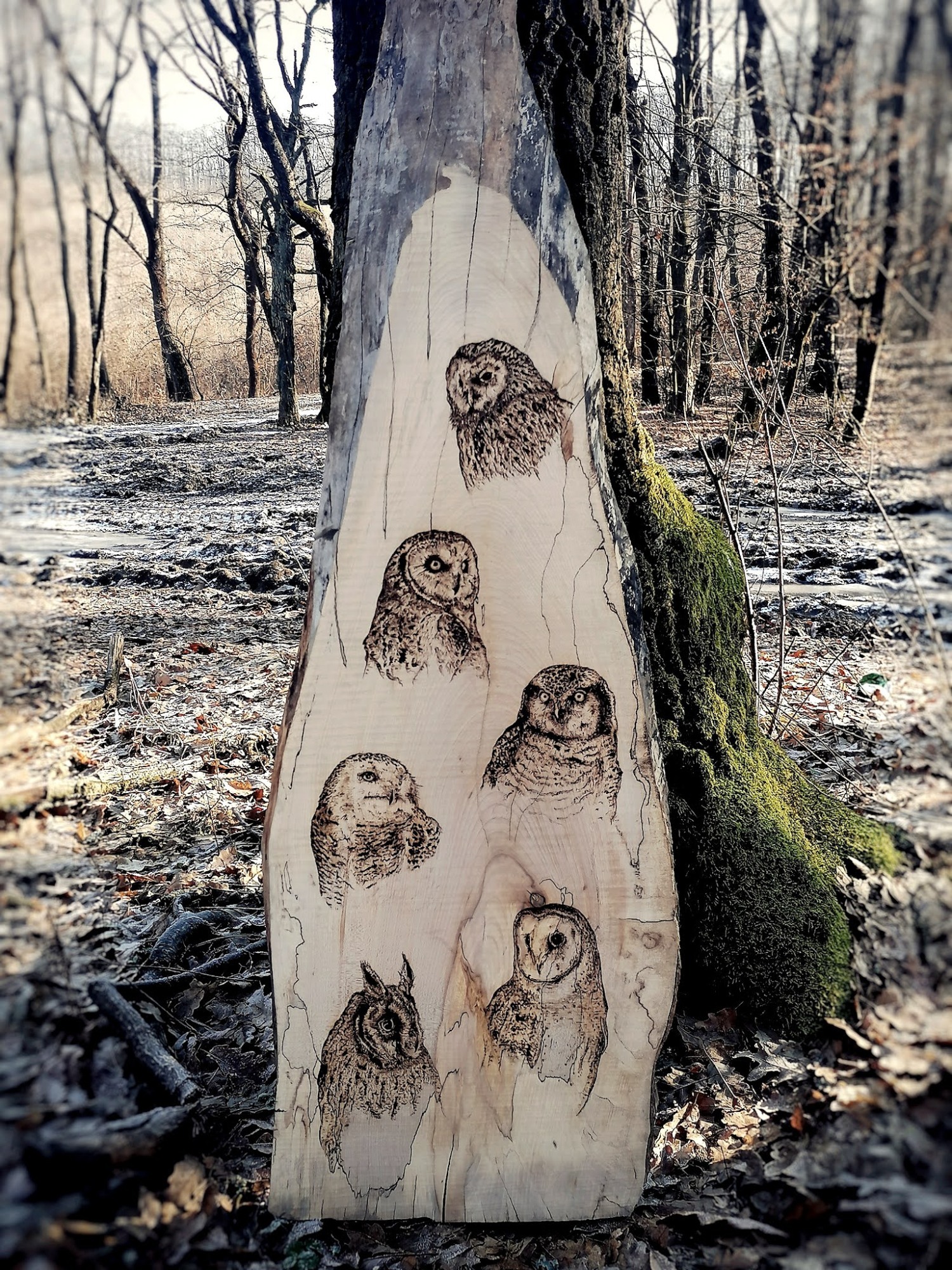 Pyrography - 1 by Szita Krist&oacute;f