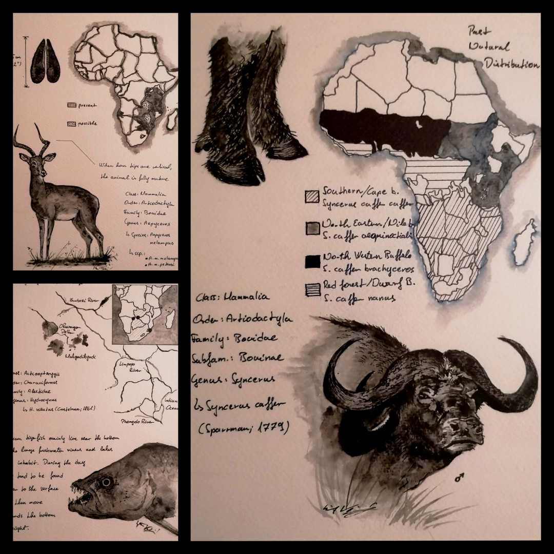 Sketchbook - 1 by Szita Krist&oacute;f