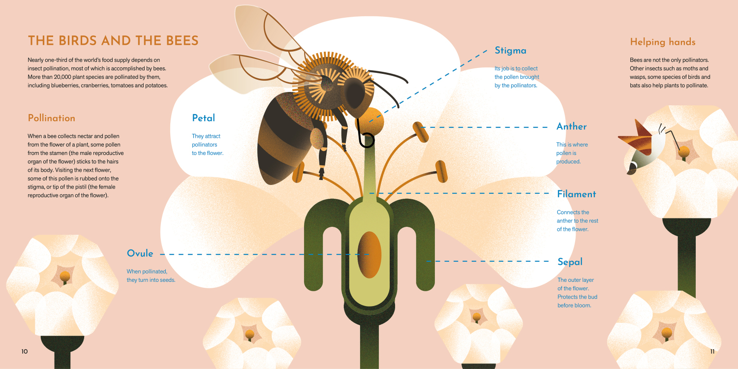 Bee Smart - Ismeretterjesztő k&ouml;nyv - 1 by Tar Tibor