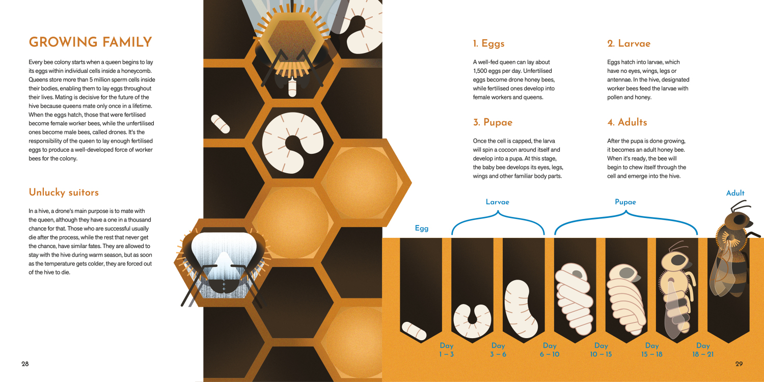 Bee Smart - Ismeretterjesztő k&ouml;nyv - 1 by Tar Tibor