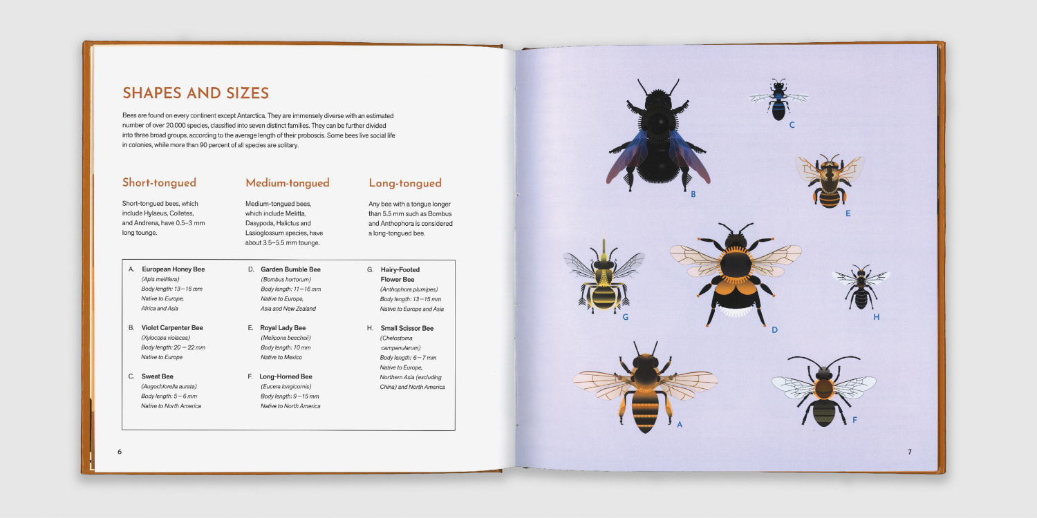 Bee Smart - Ismeretterjesztő k&ouml;nyv - 1 by Tar Tibor