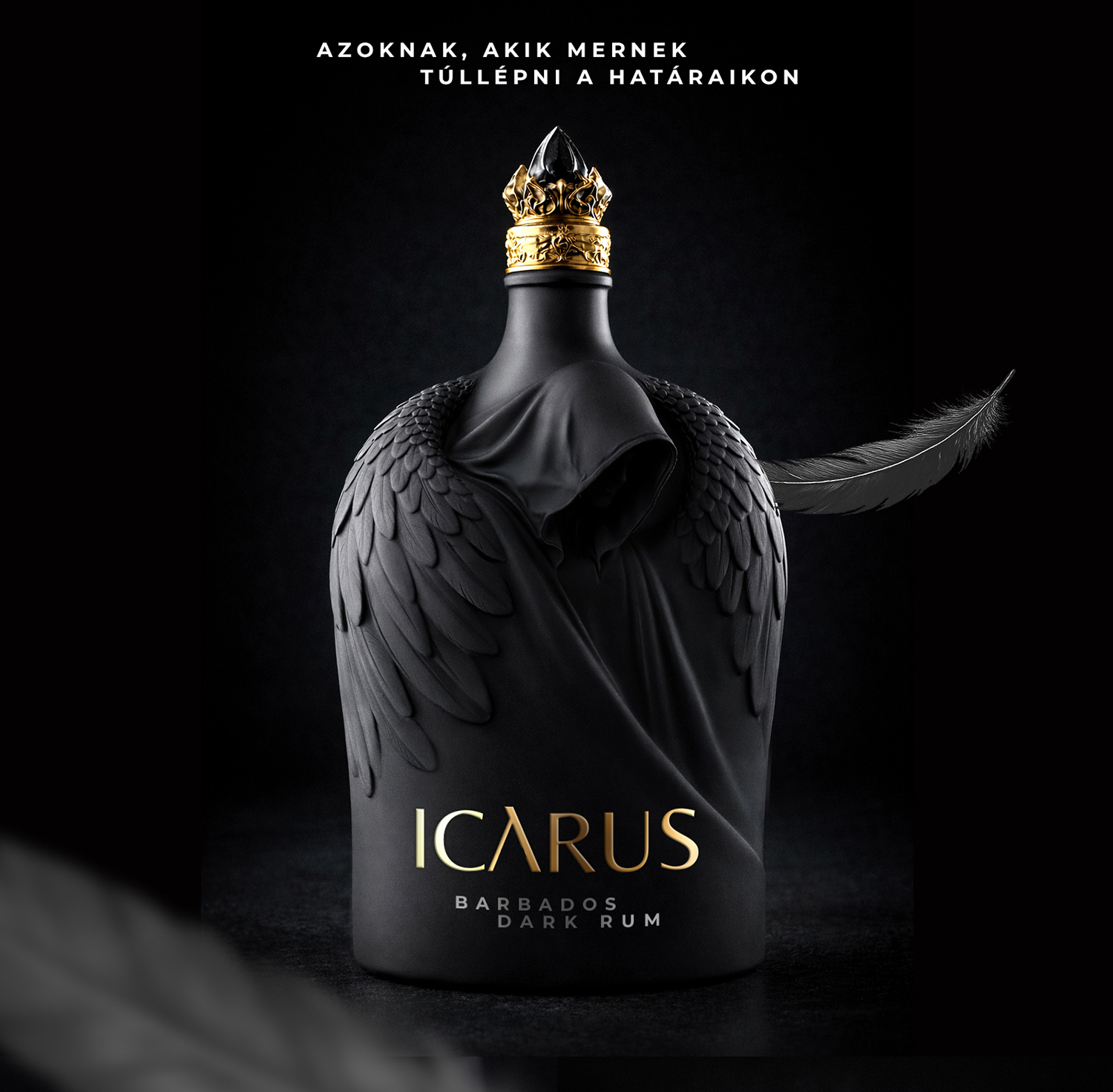 ICARUS - 1 by Ill&eacute;s L&aacute;szl&oacute;