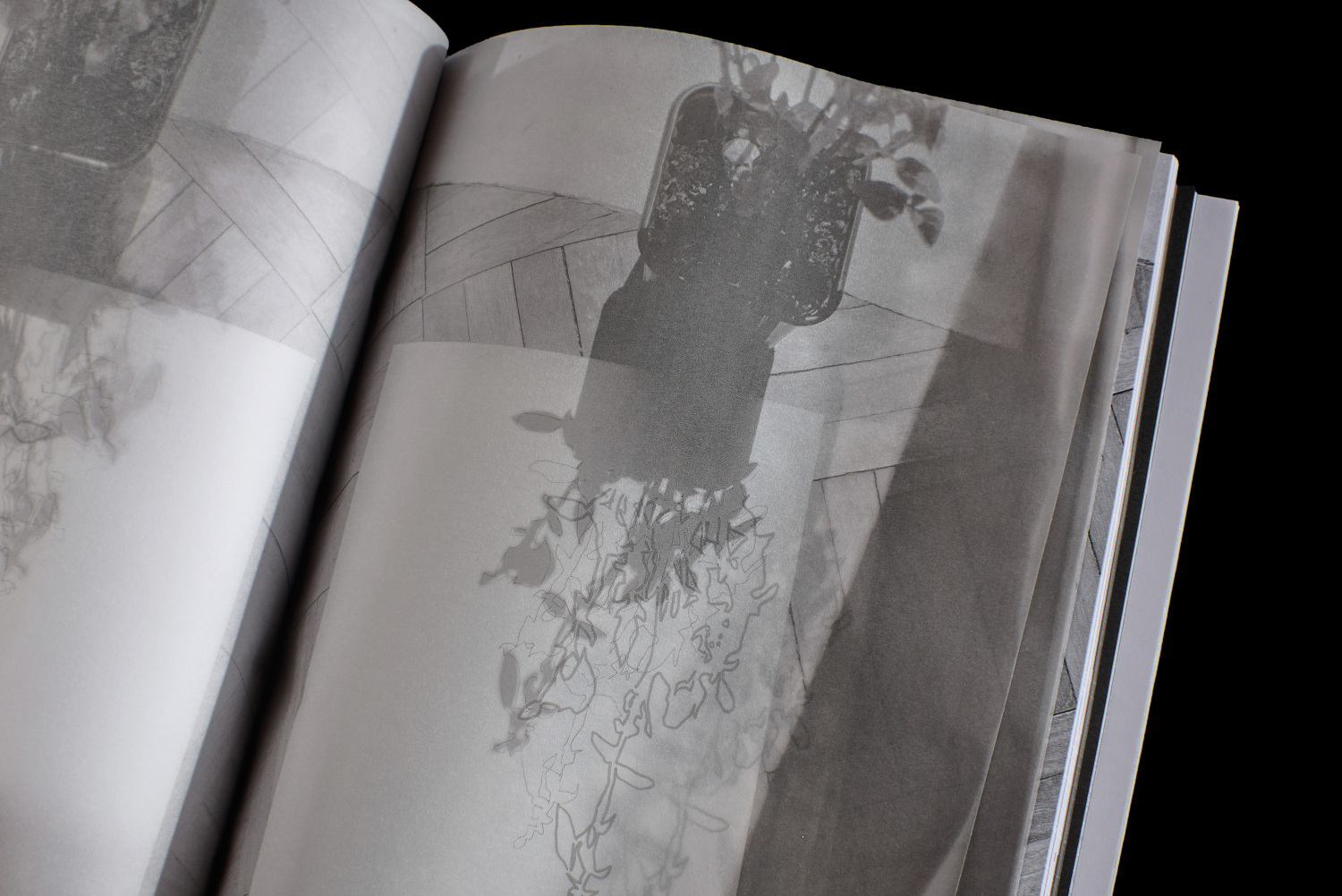 ARCHIVING THE UNSEEN - 1 by L&aacute;szl&oacute; Emese